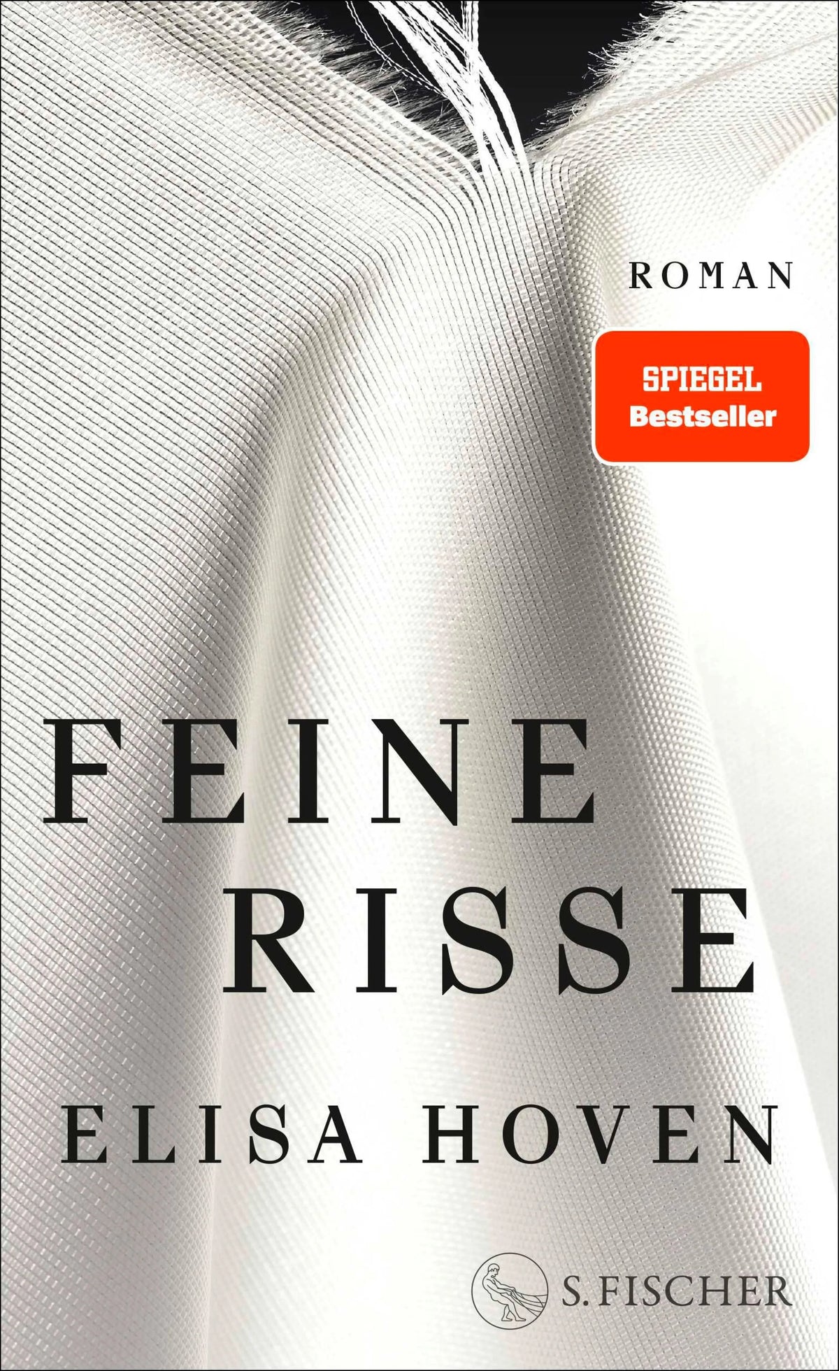 Cover: Feine Risse (E-Book) von Elisa Hoven