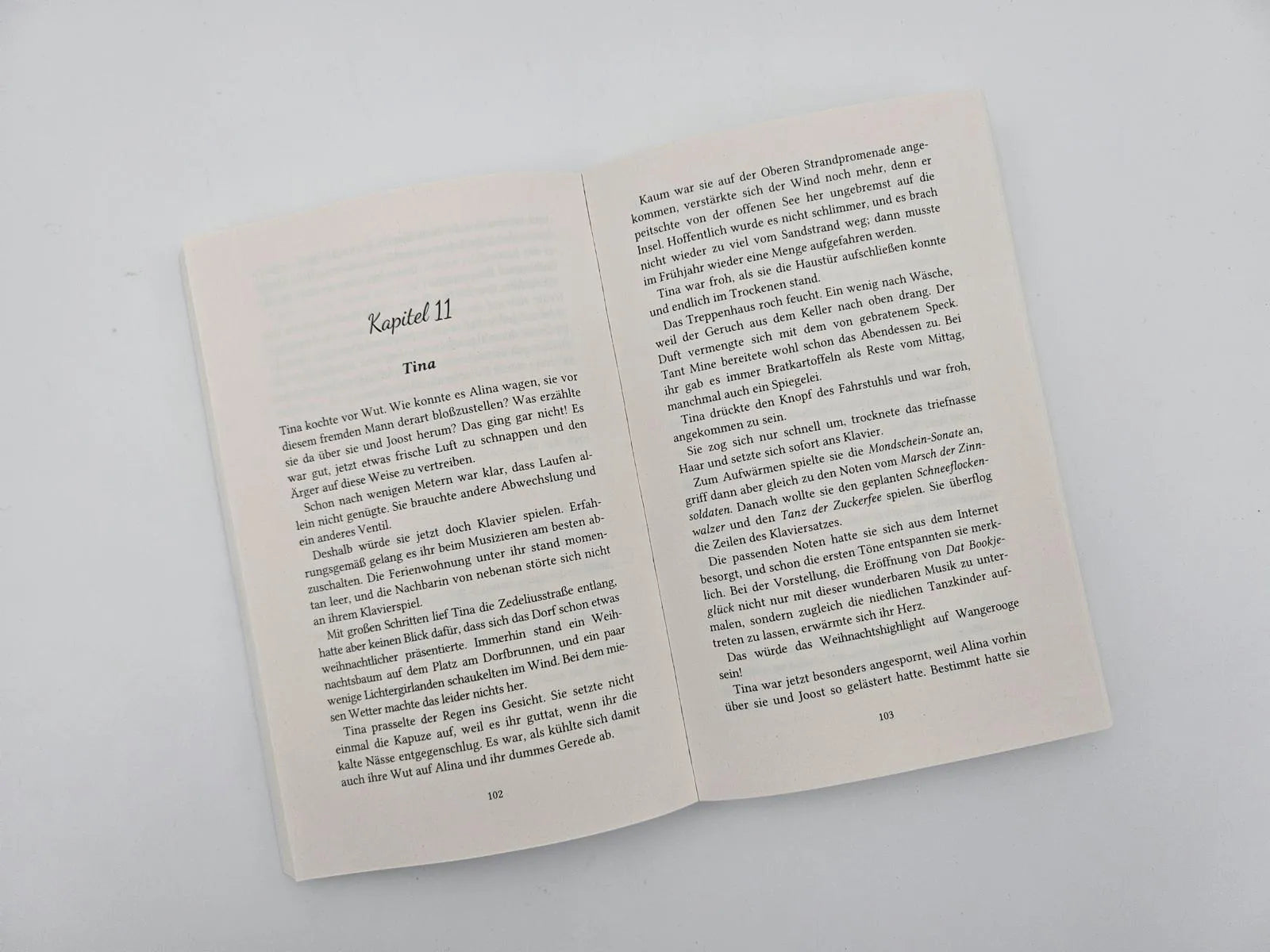 Produktansicht: Winterträume in der kleinen Bücherei an der Nordsee (Taschenbuch)