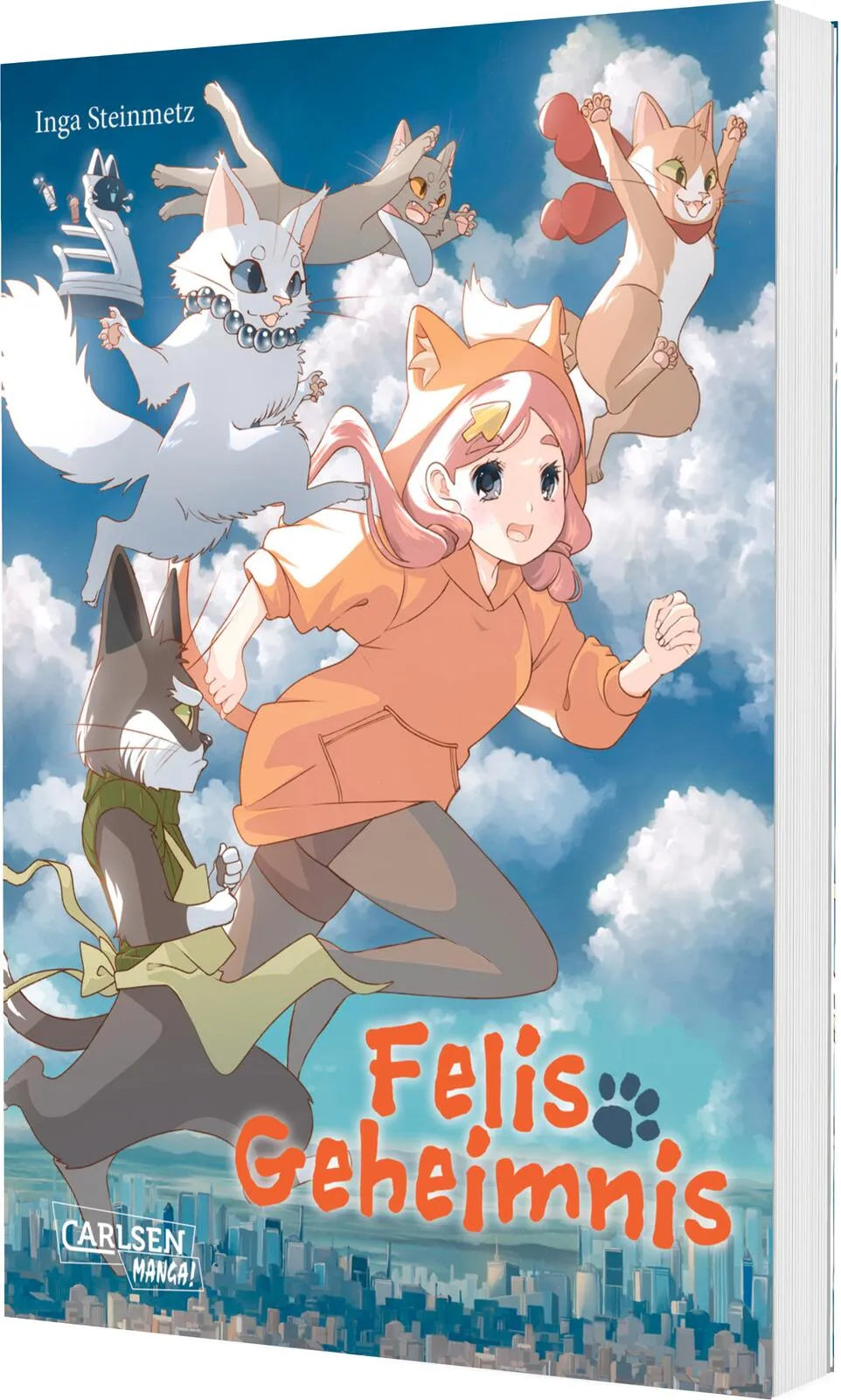 Buchcover von 'Felis Geheimnis' - Taschenbuch von Inga Steinmetz