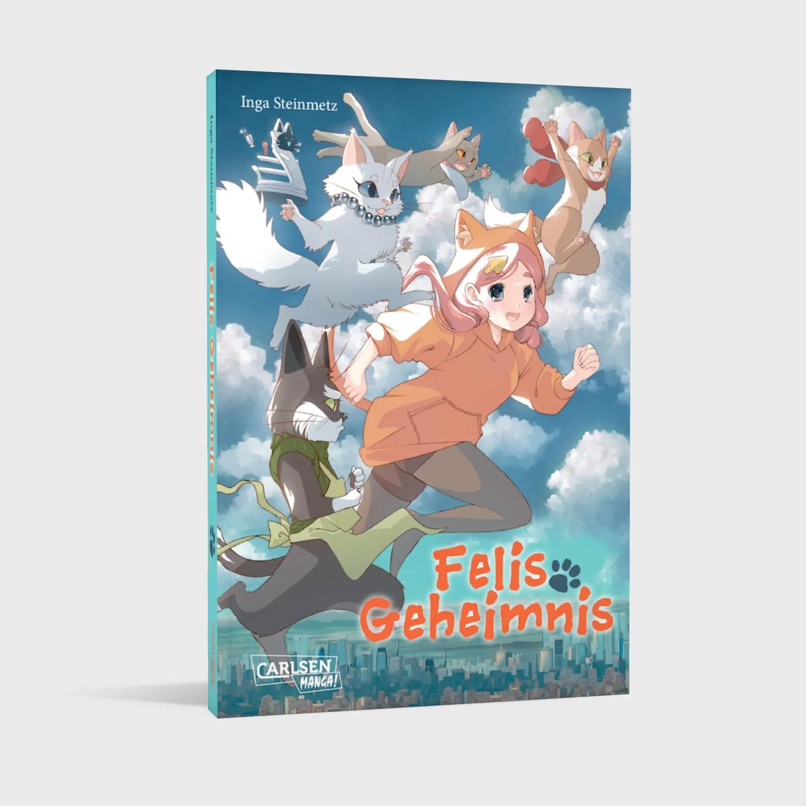 Produktansicht: Felis Geheimnis (Taschenbuch)