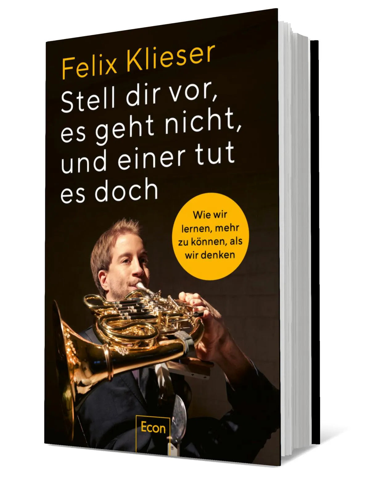 Produktansicht: Stell dir vor, es geht nicht, und einer tut es doch (Gebundene Ausgabe)