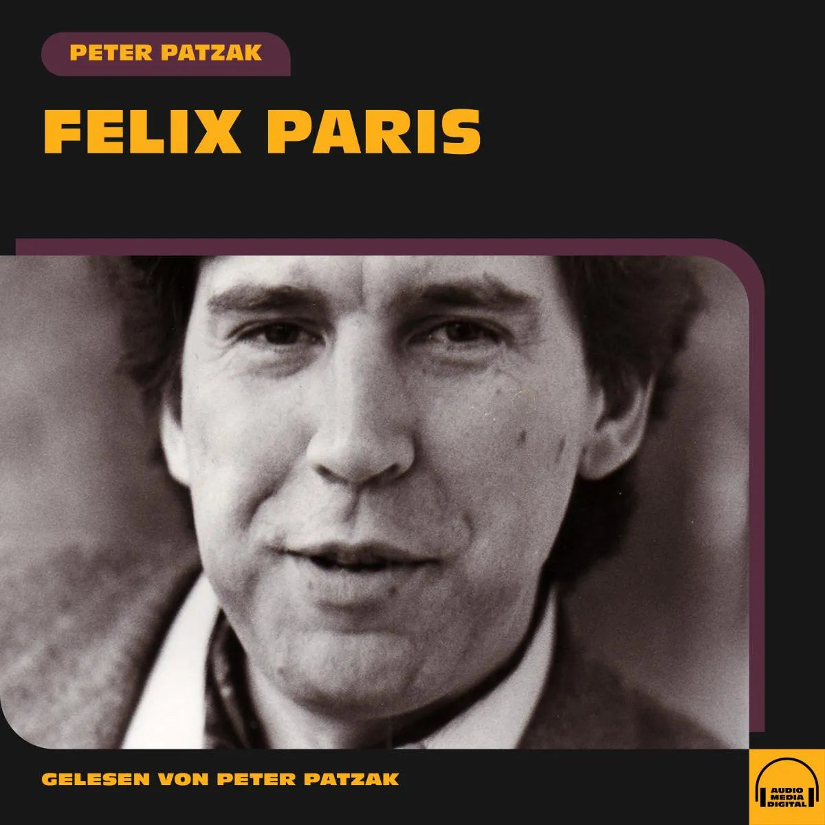 Cover: Felix Paris (Hörbuch Download) von Peter Patzak