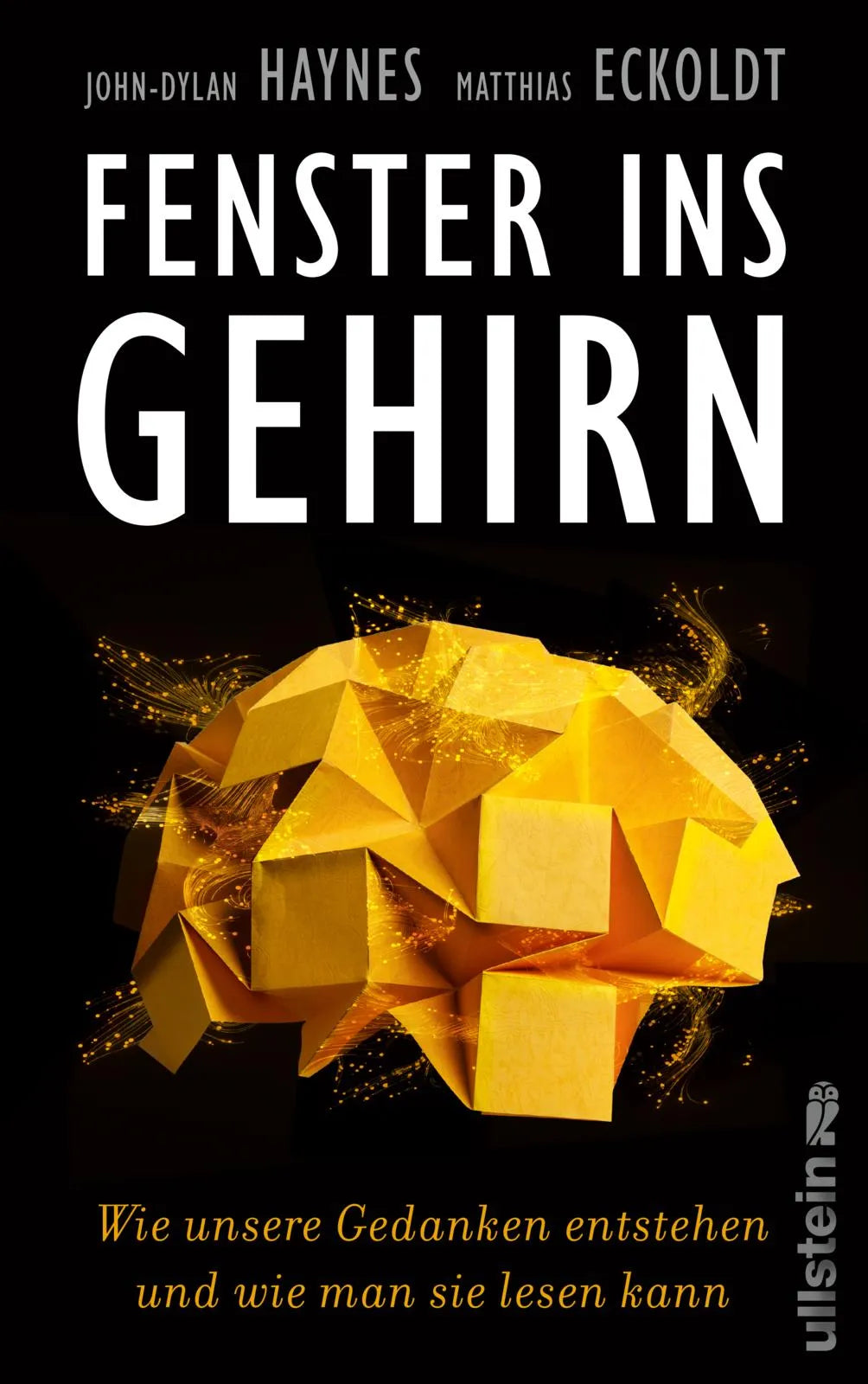 Buchcover von 'Fenster ins Gehirn' - Gebundene Ausgabe von John-Dylan Haynes