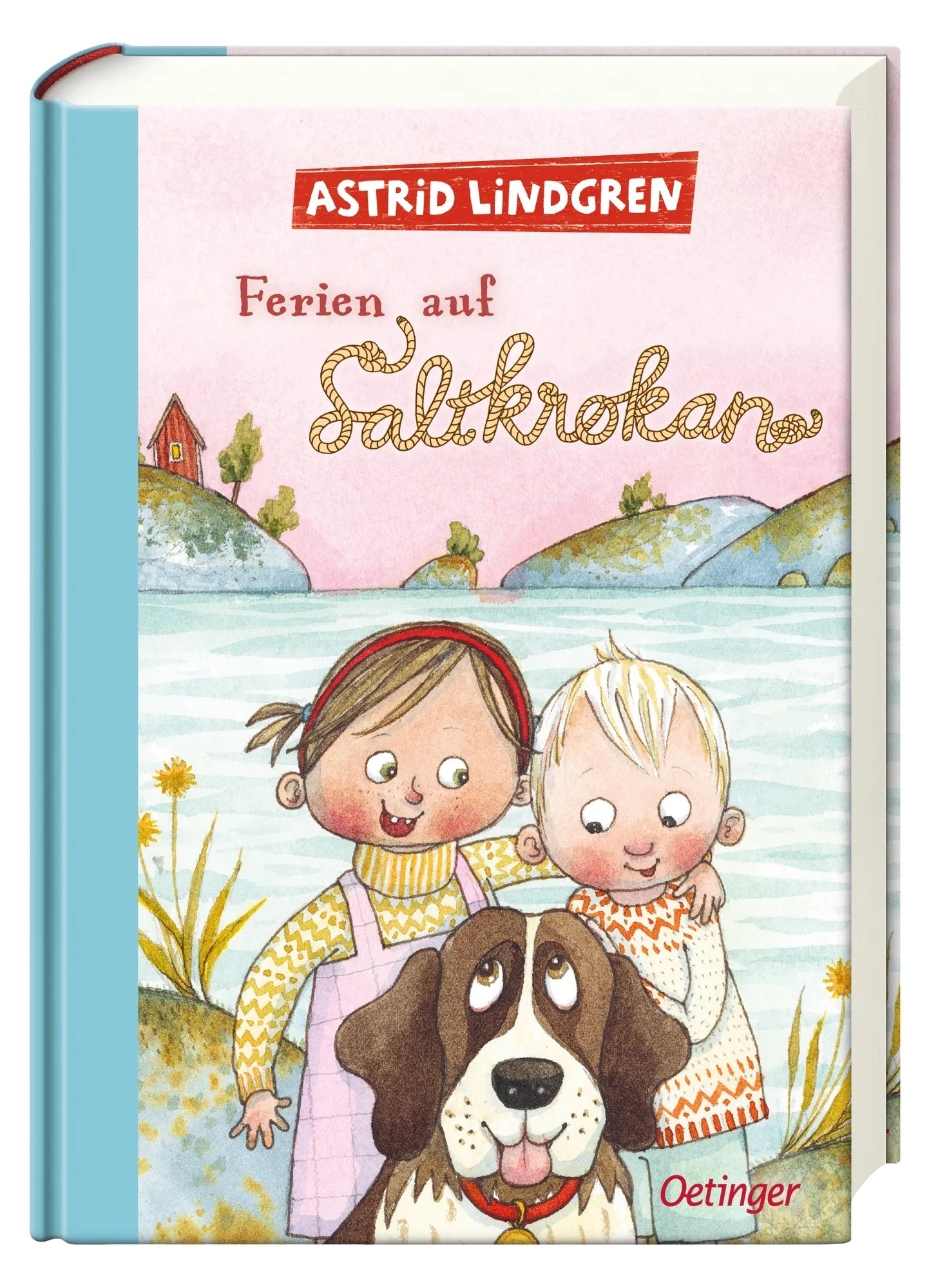 Produktansicht: Ferien auf Saltkrokan (Gebundene Ausgabe)