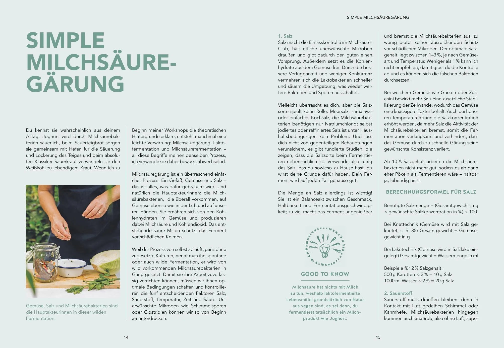 Produktansicht: Fermentation (Taschenbuch)