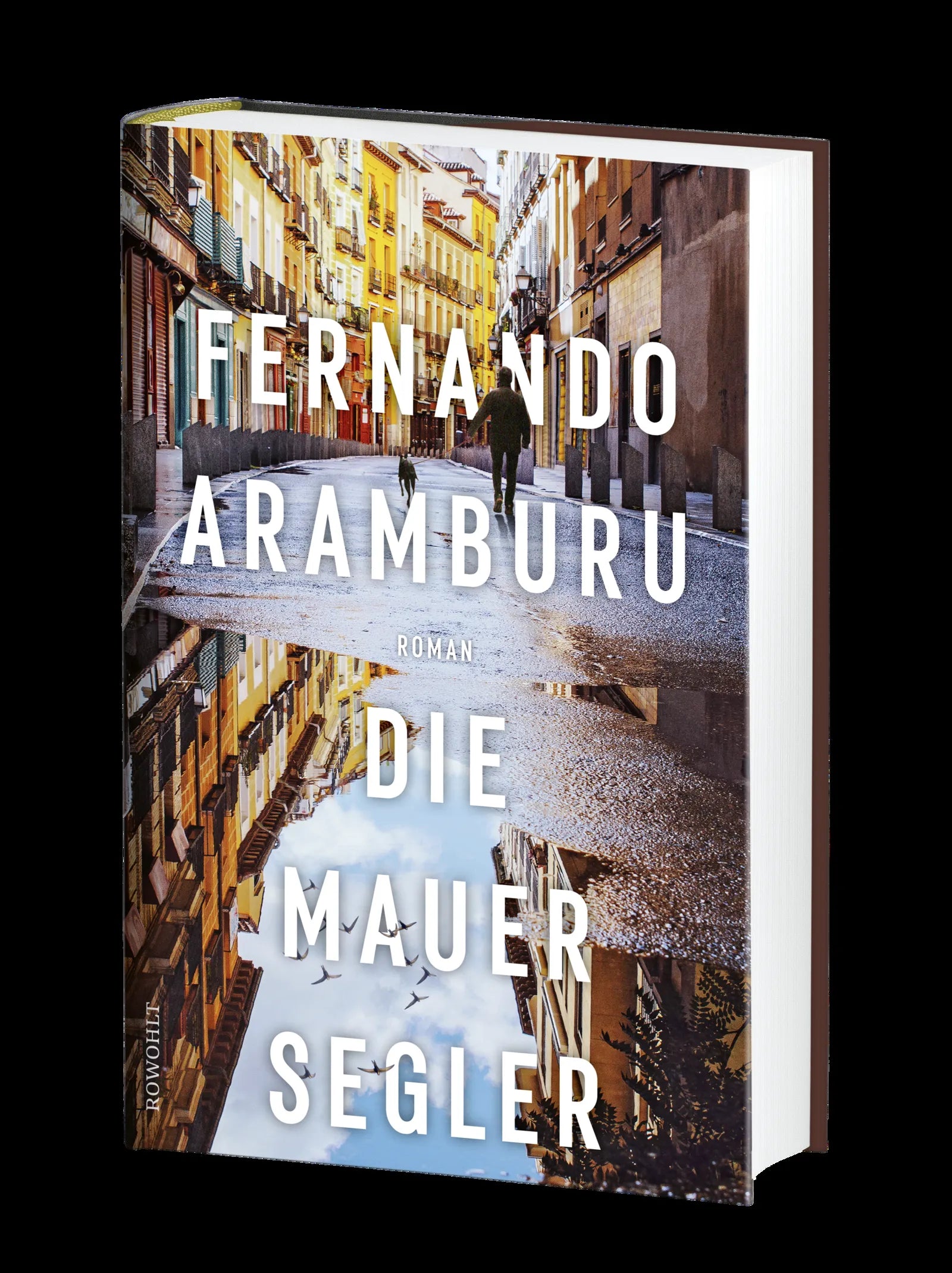 Produktansicht: Die Mauersegler (Gebundene Ausgabe)