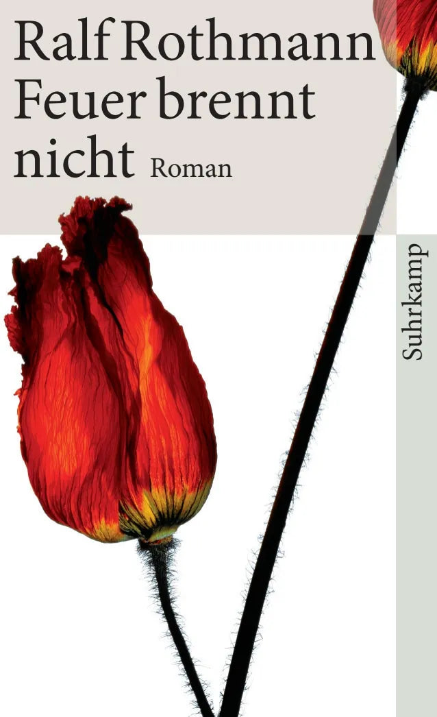 Buchcover von 'Feuer brennt nicht' - Taschenbuch von Ralf Rothmann