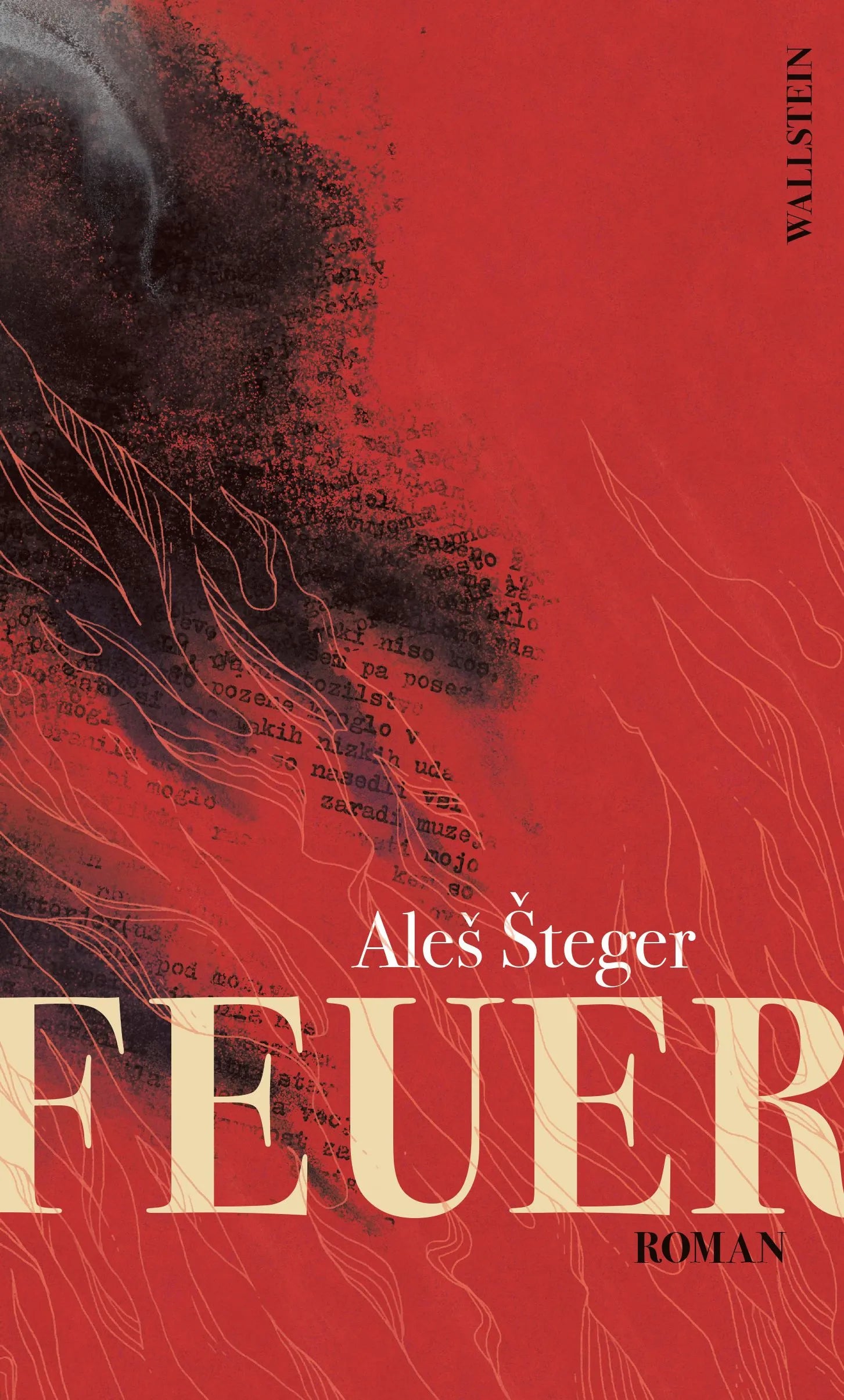 Cover: Feuer (E-Book) von Ales Steger