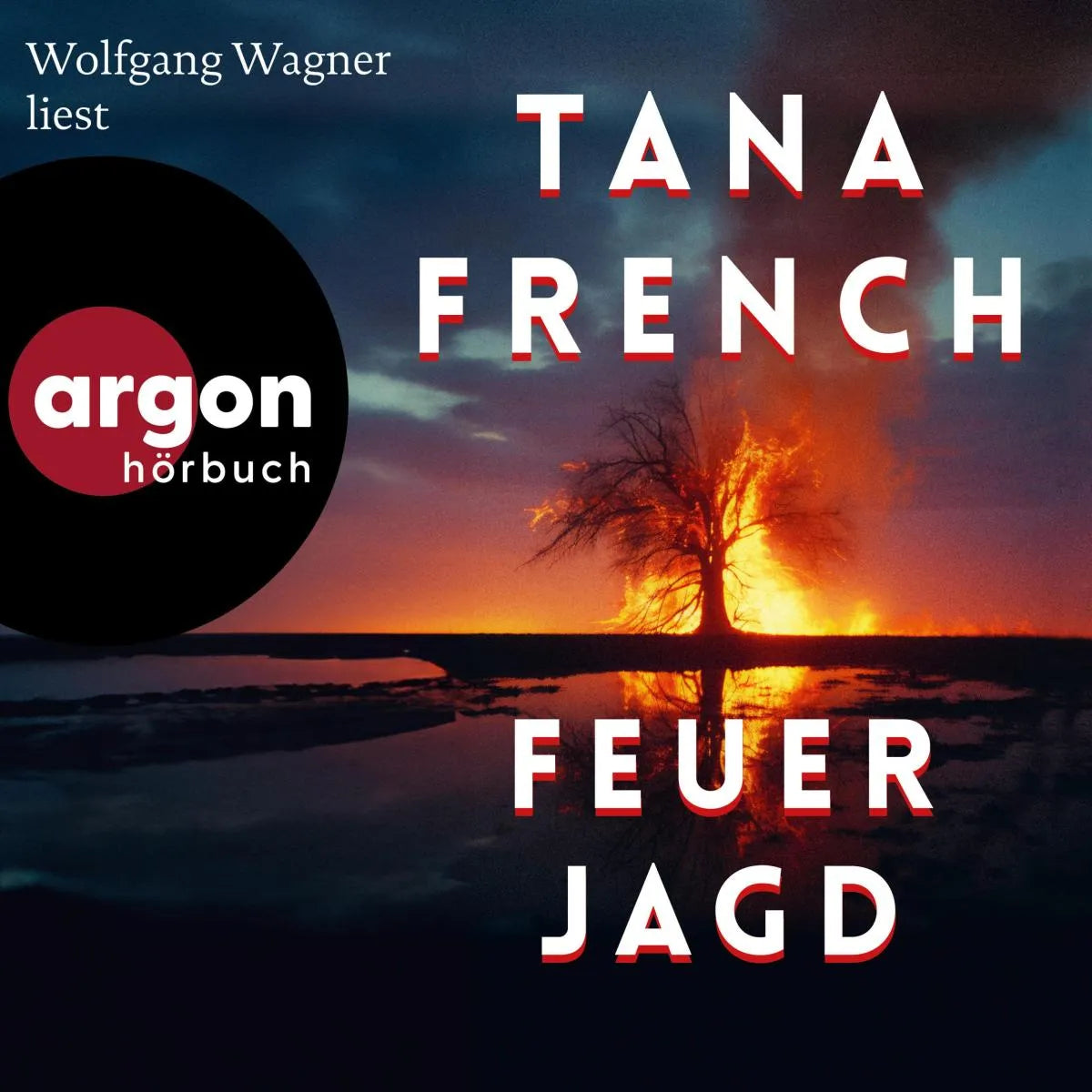 Cover: Feuerjagd (Hörbuch Download) von Tana French
