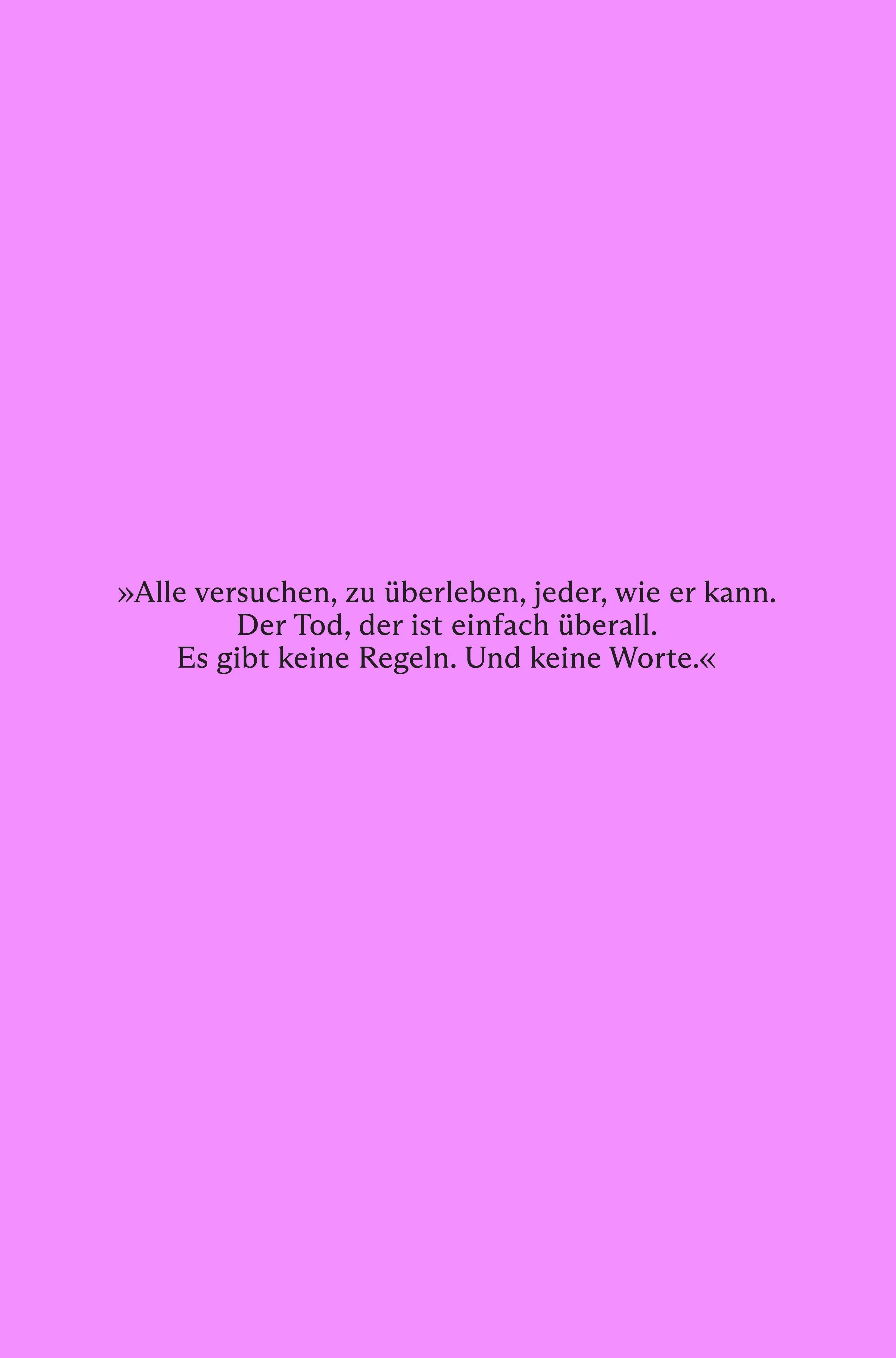 Rückseite: Feuerpause (Taschenbuch)