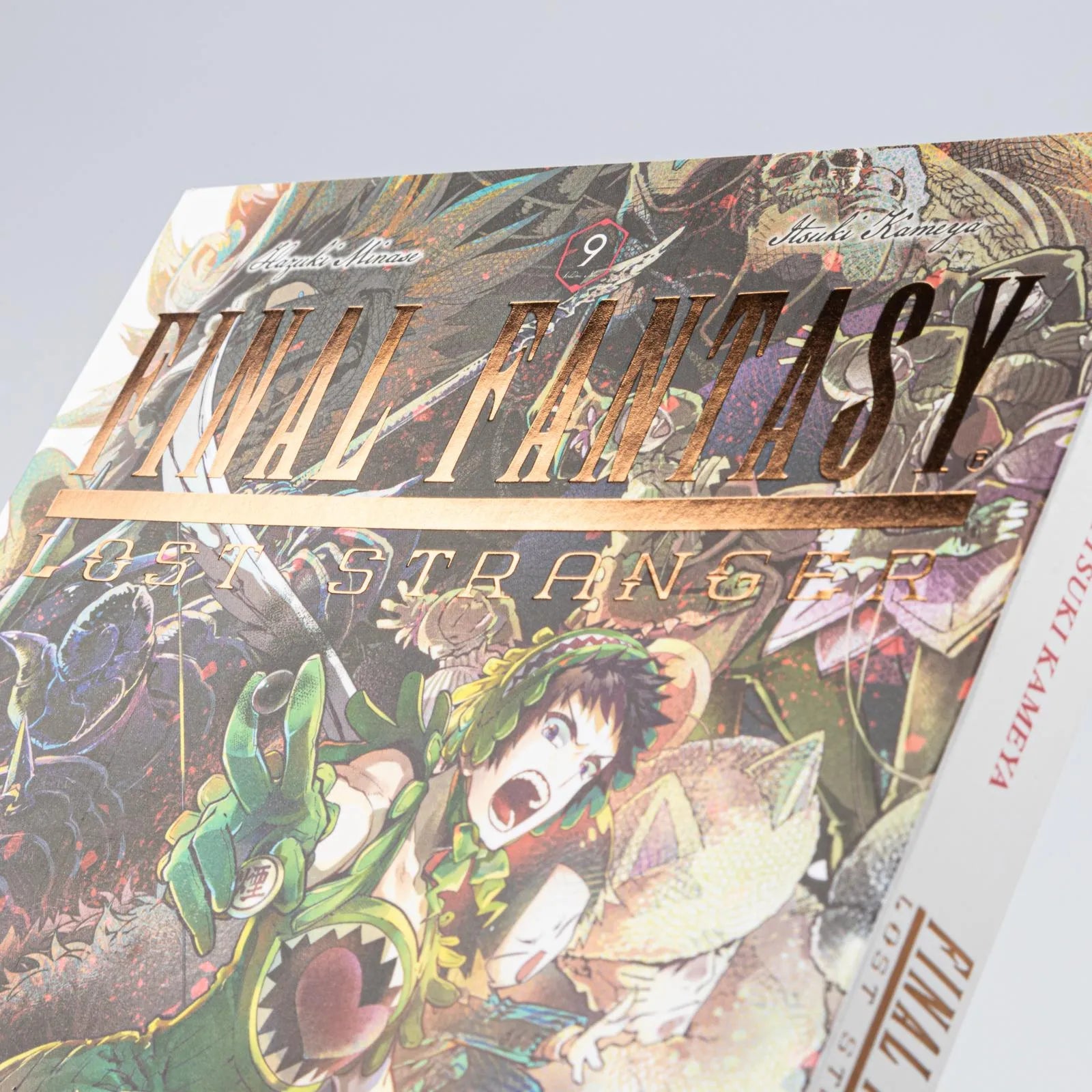 Abbildung von 'Final Fantasy − Lost Stranger 9'