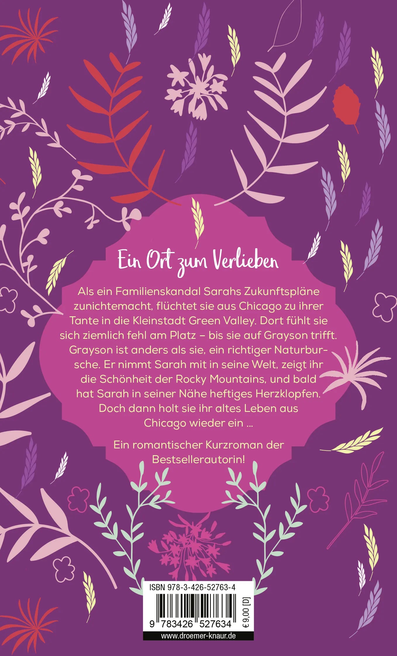 Buchrückseite von 'Find me in Green Valley' mit Klappentext - Taschenbuch
