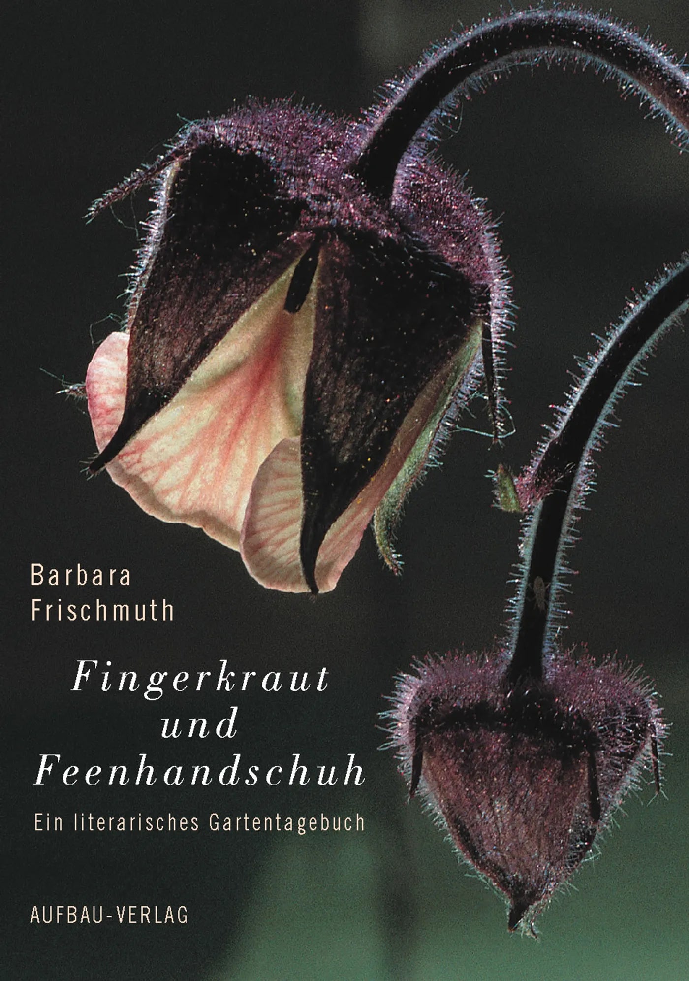 Buchcover von 'Fingerkraut und Feenhandschuh' - Gebundene Ausgabe von Barbara Frischmuth