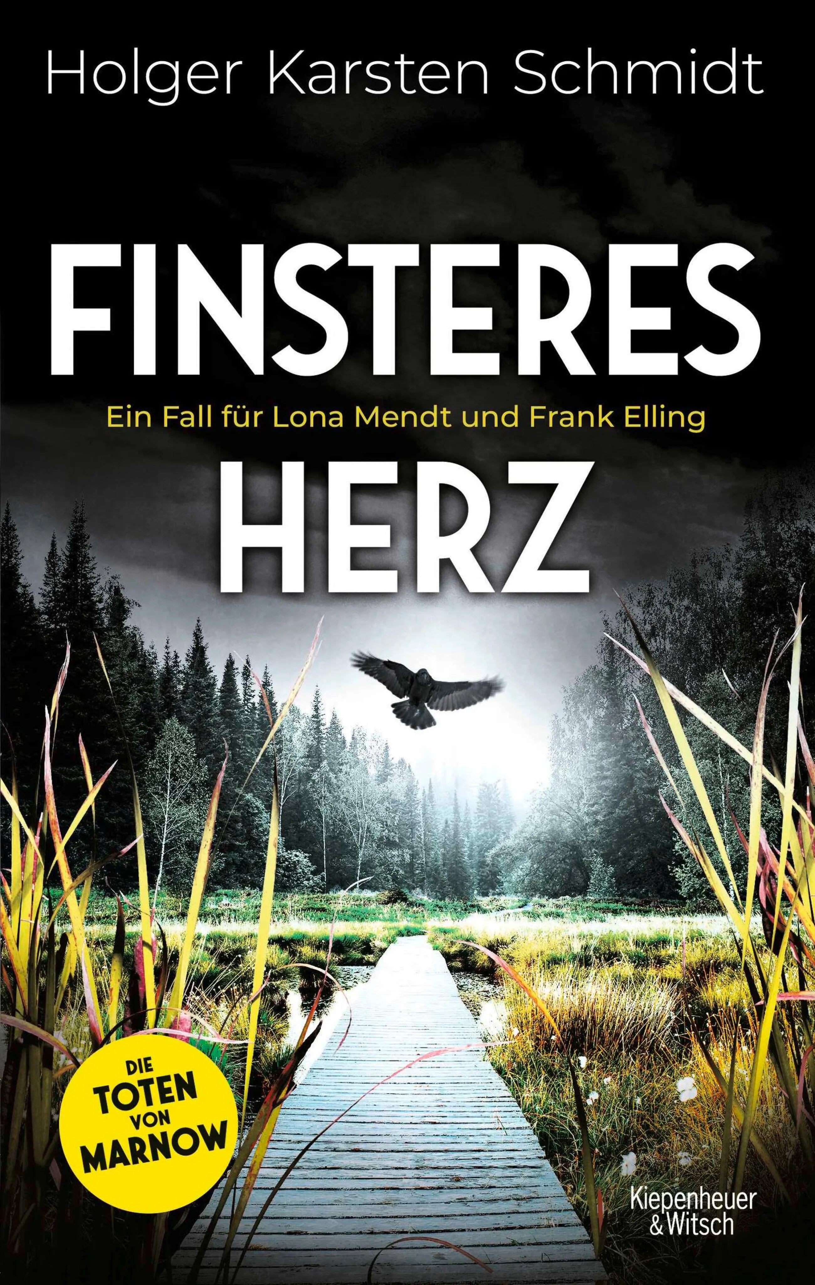 Cover: Finsteres Herz (E-Book) von Holger Karsten Schmidt