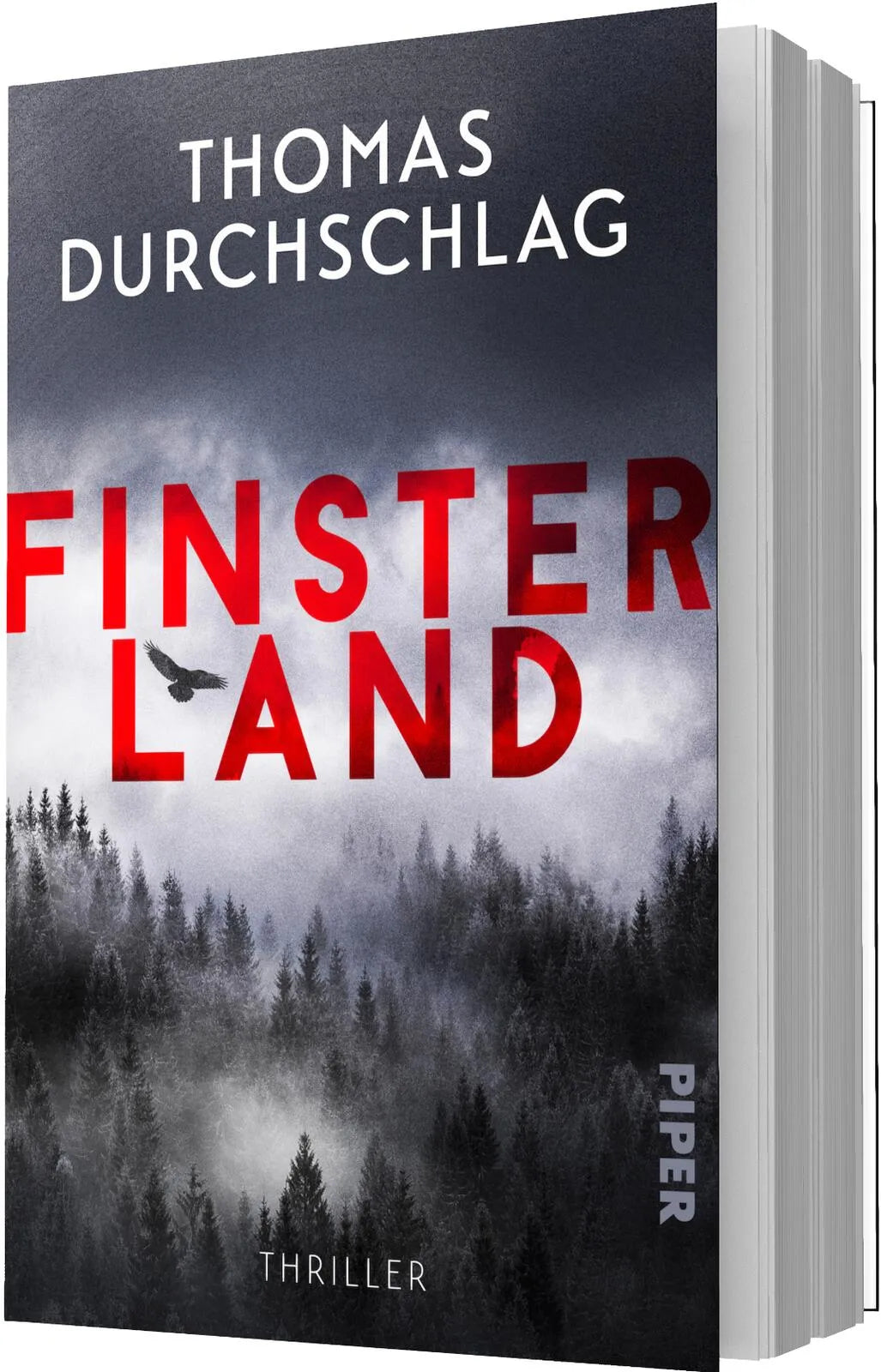 Detailansicht: Finsterland (Paperback)