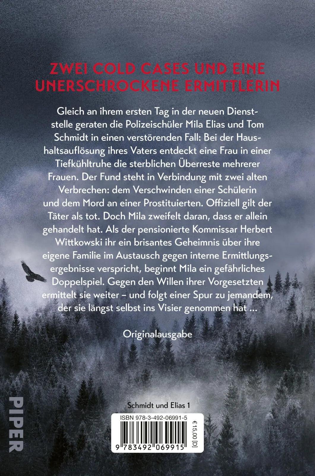 Rückseite: Finsterland (Paperback)