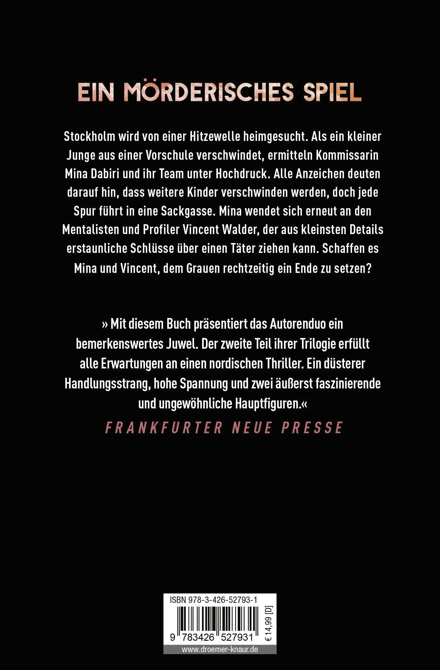 Buchrückseite von 'Finsternebel' mit Klappentext - Taschenbuch