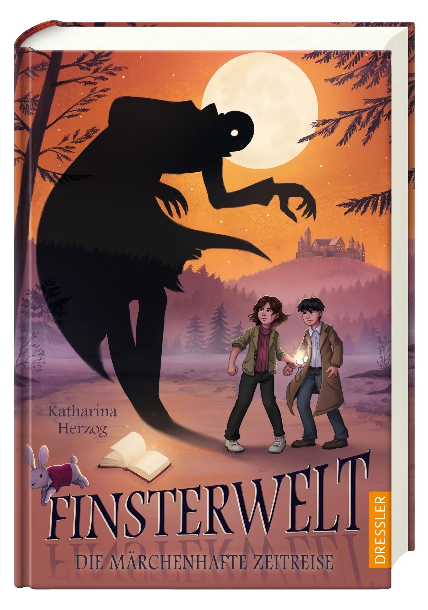 Abbildung von 'Finsterwelt 3. Die märchenhafte Zeitreise'