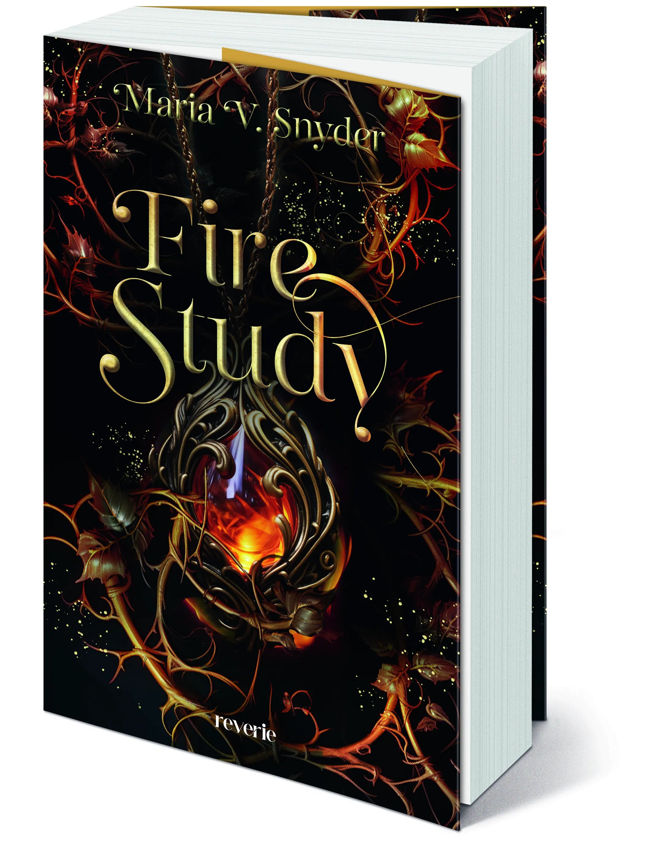 Detailansicht: Fire Study (Paperback)