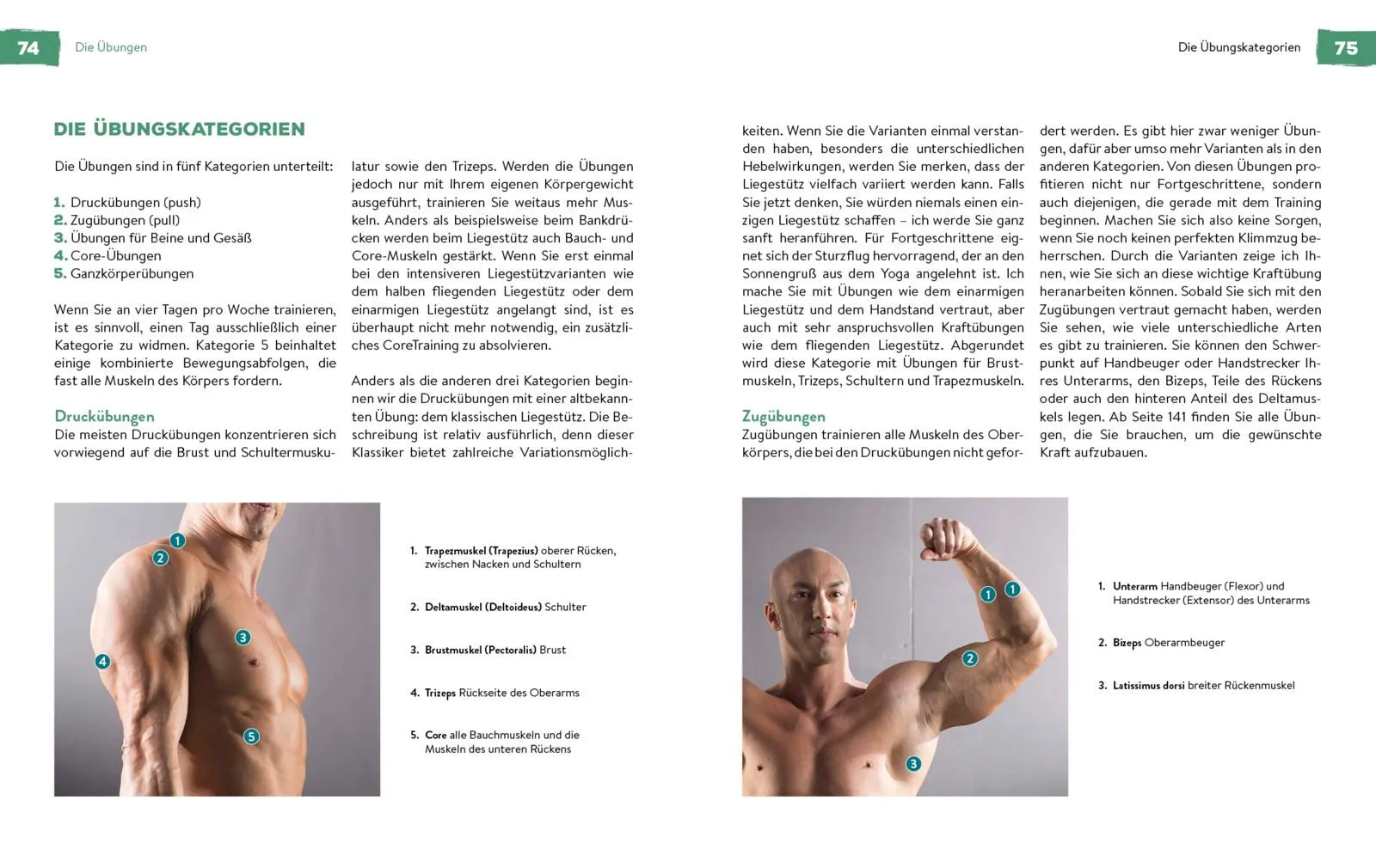 Innenansicht von 'Fit ohne Geräte' - Taschenbuch