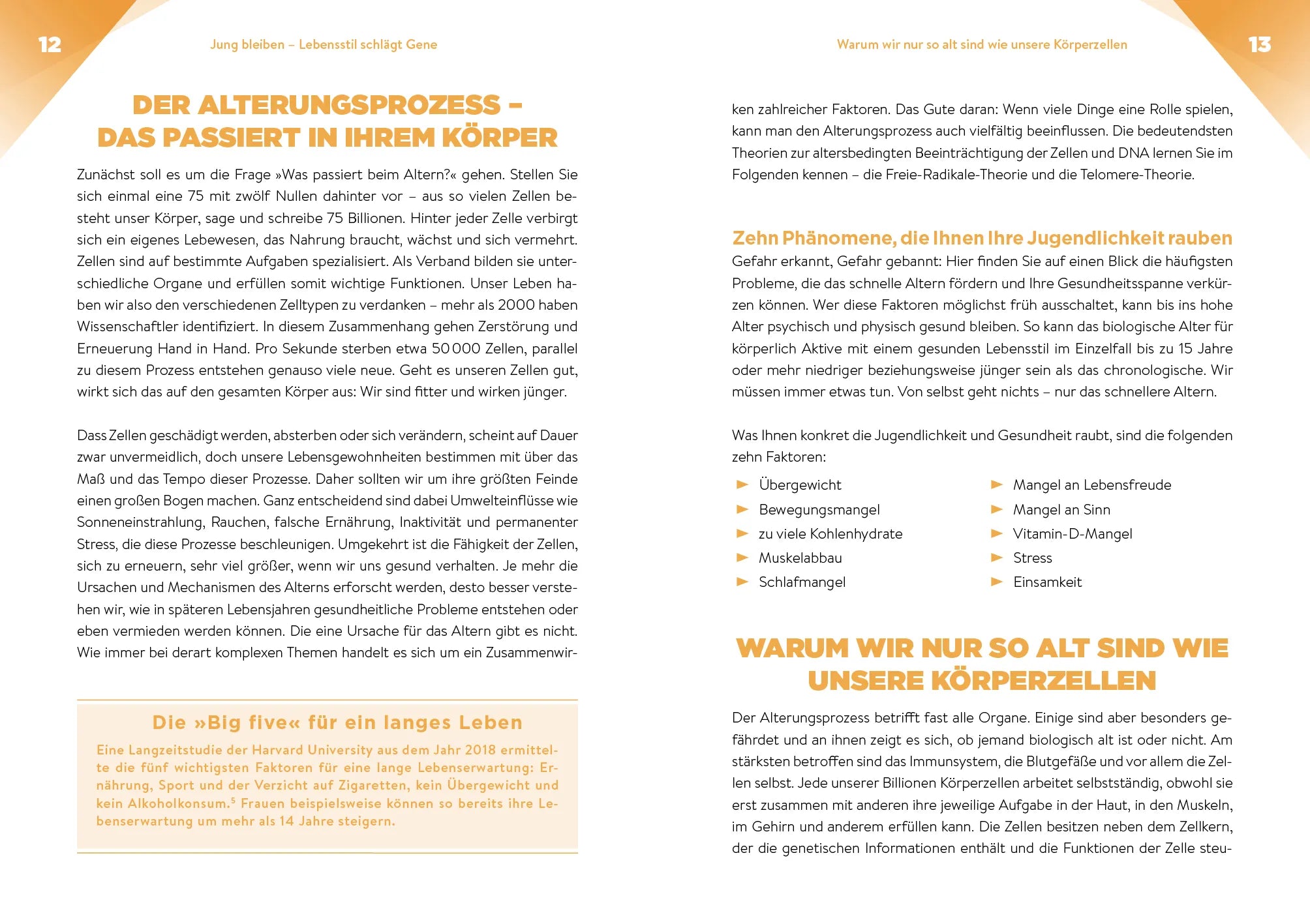 Innenansicht von 'Fit werden – jung bleiben' - Taschenbuch