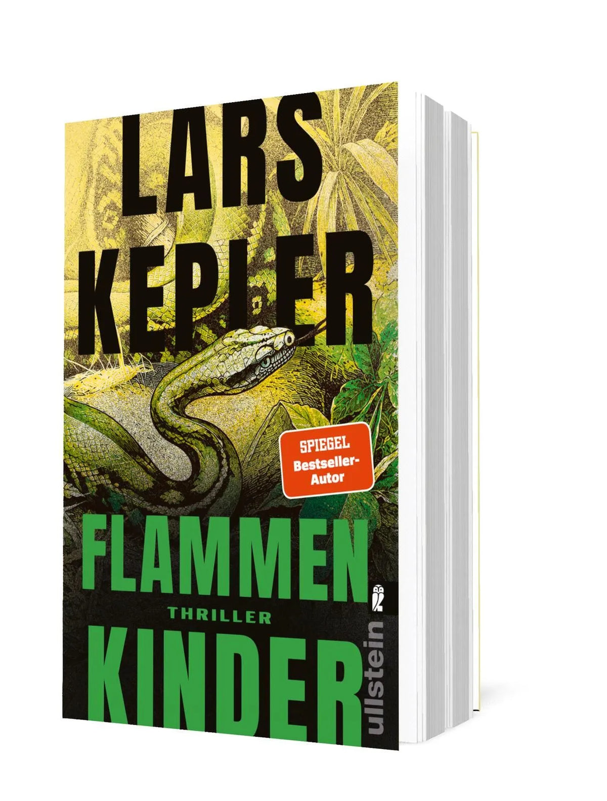 Detailansicht: Flammenkinder (Taschenbuch)