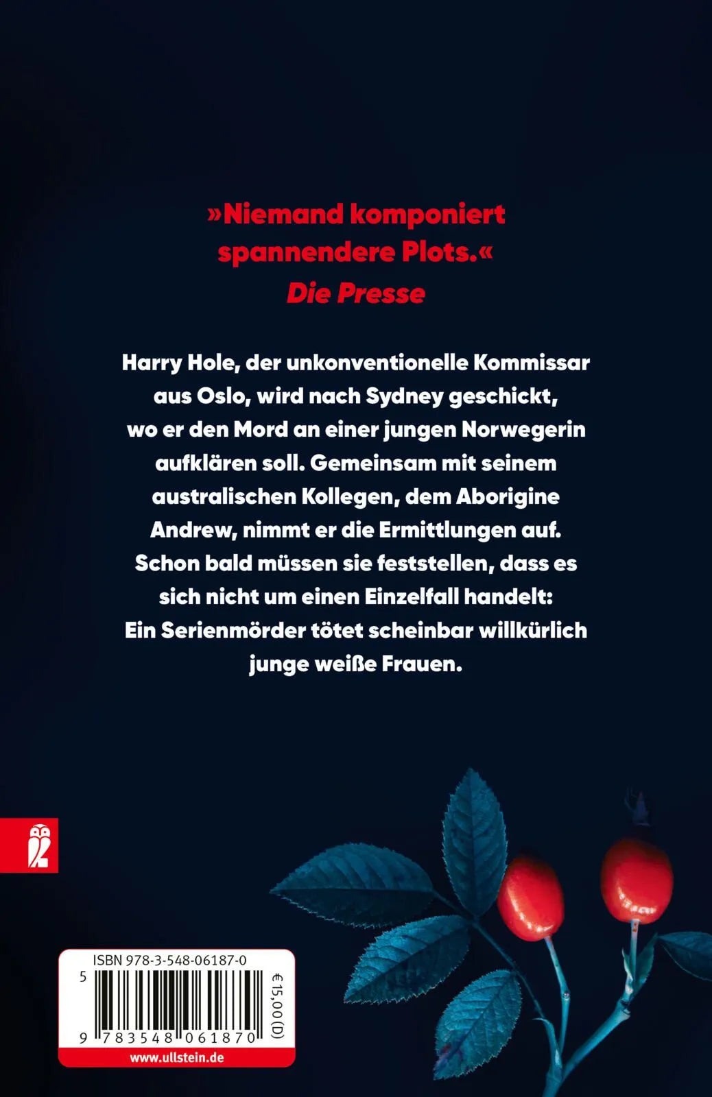 Rückseite: Fledermausmann (Taschenbuch)