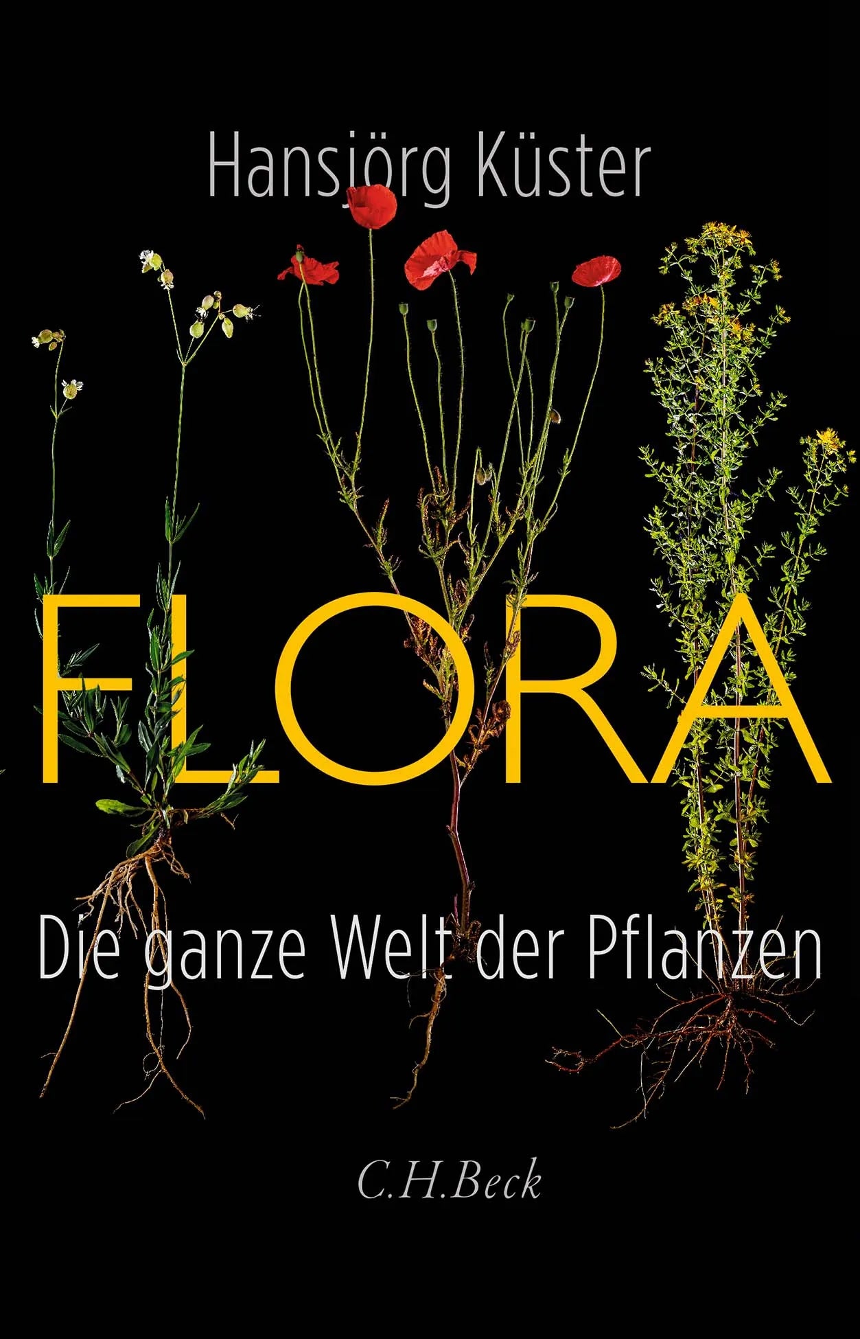 Buchcover von 'Flora' - Gebundene Ausgabe von Hansjörg Küster