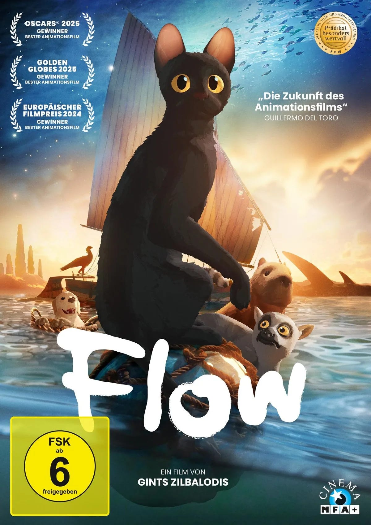 Flow - DVD