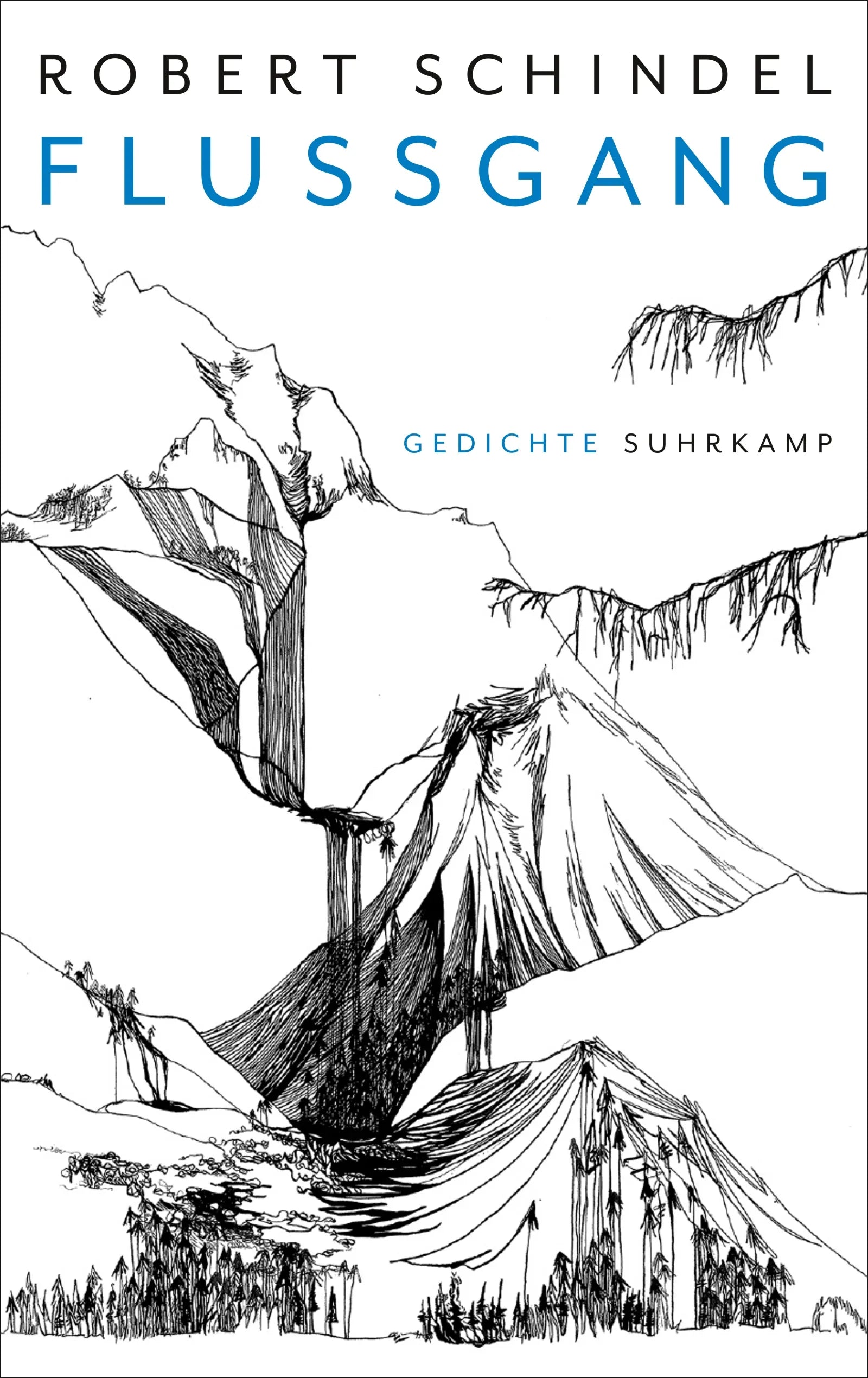 Cover: Flussgang (E-Book) von Robert Schindel