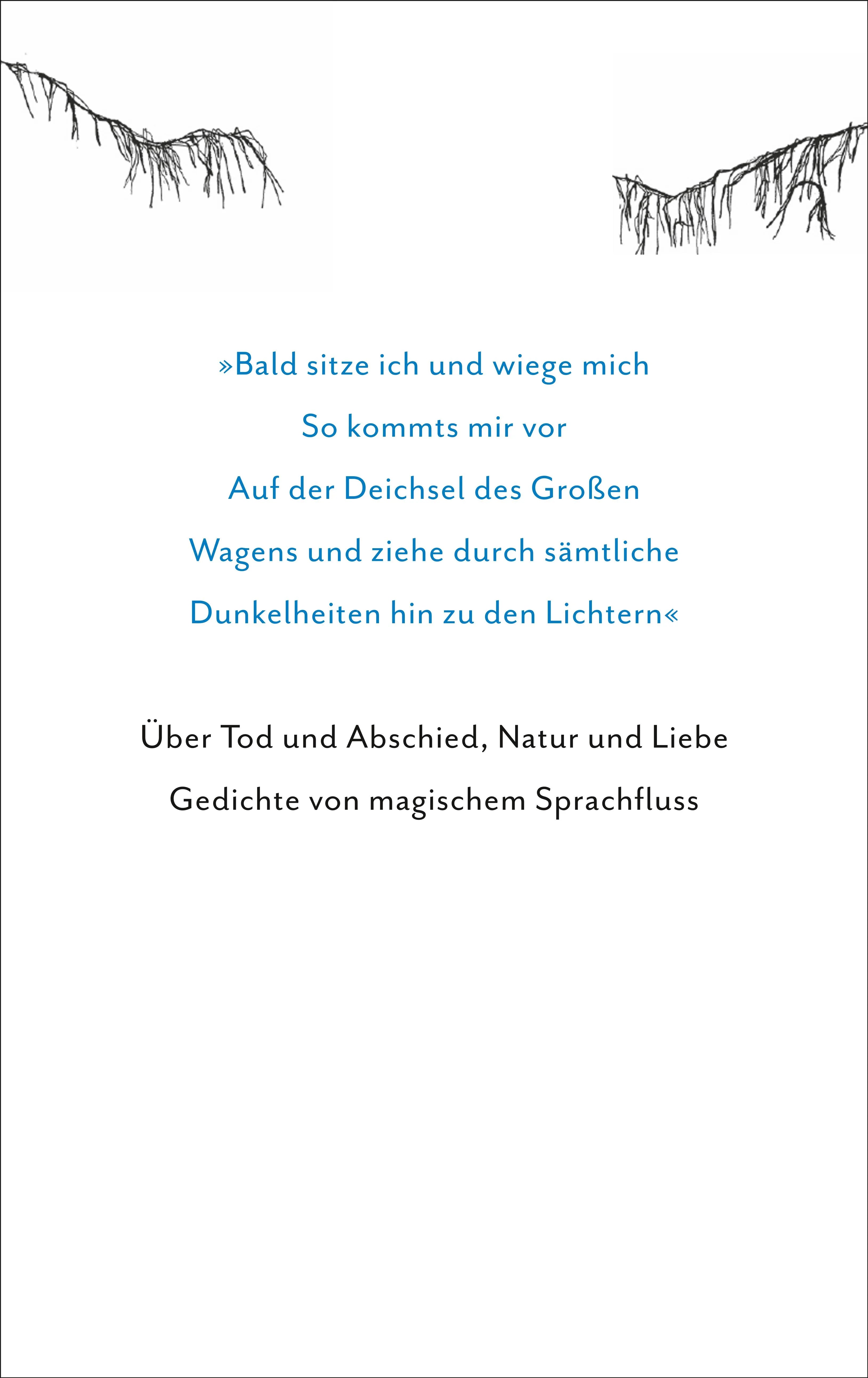 Buchrückseite von 'Flussgang' mit Klappentext - Gebundene Ausgabe