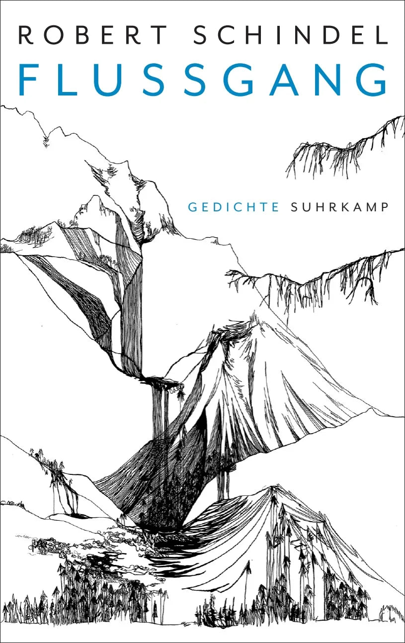 Buchcover von 'Flussgang' - Gebundene Ausgabe von Robert Schindel