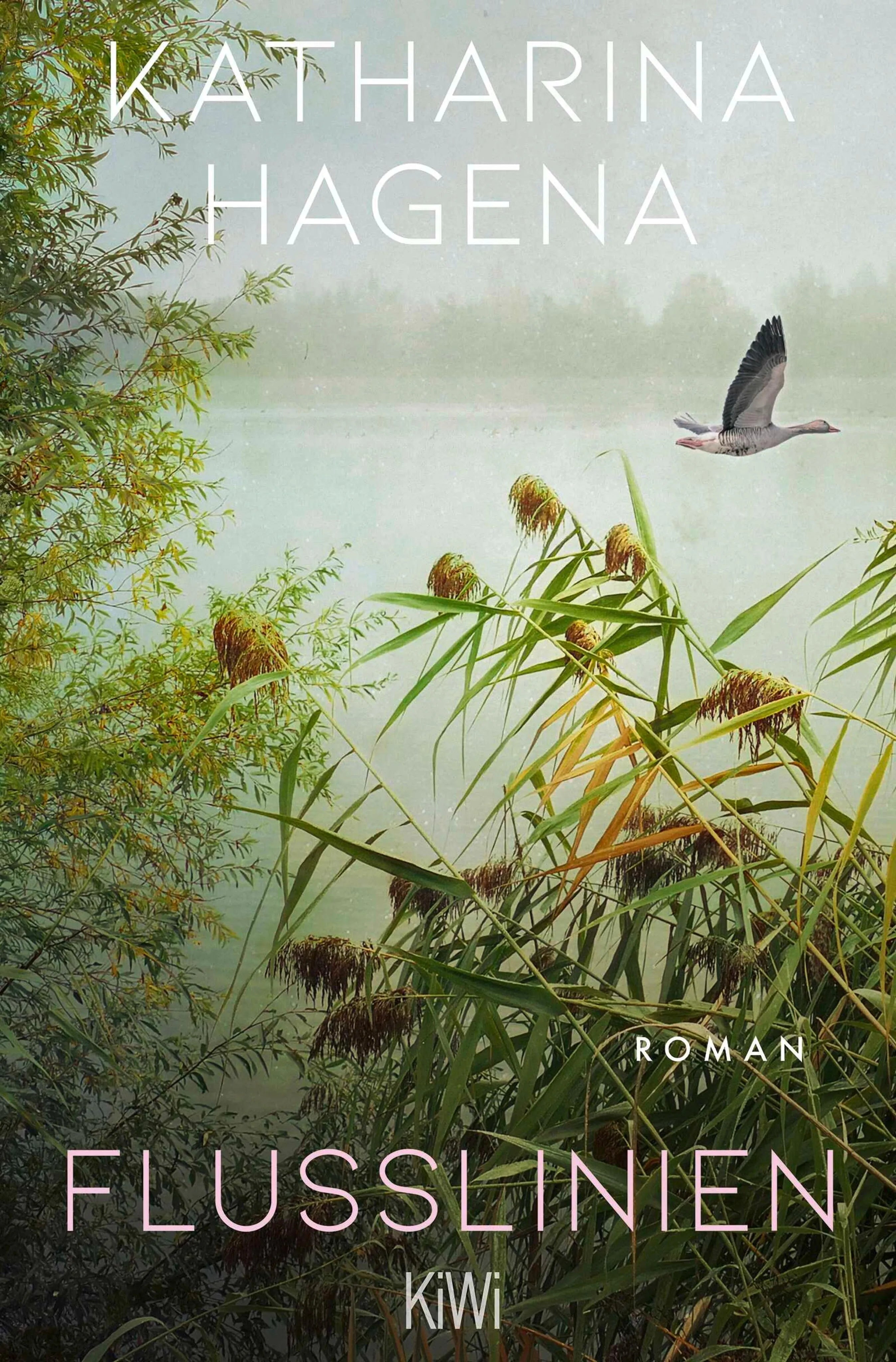 Cover: Flusslinien (E-Book) von Katharina Hagena