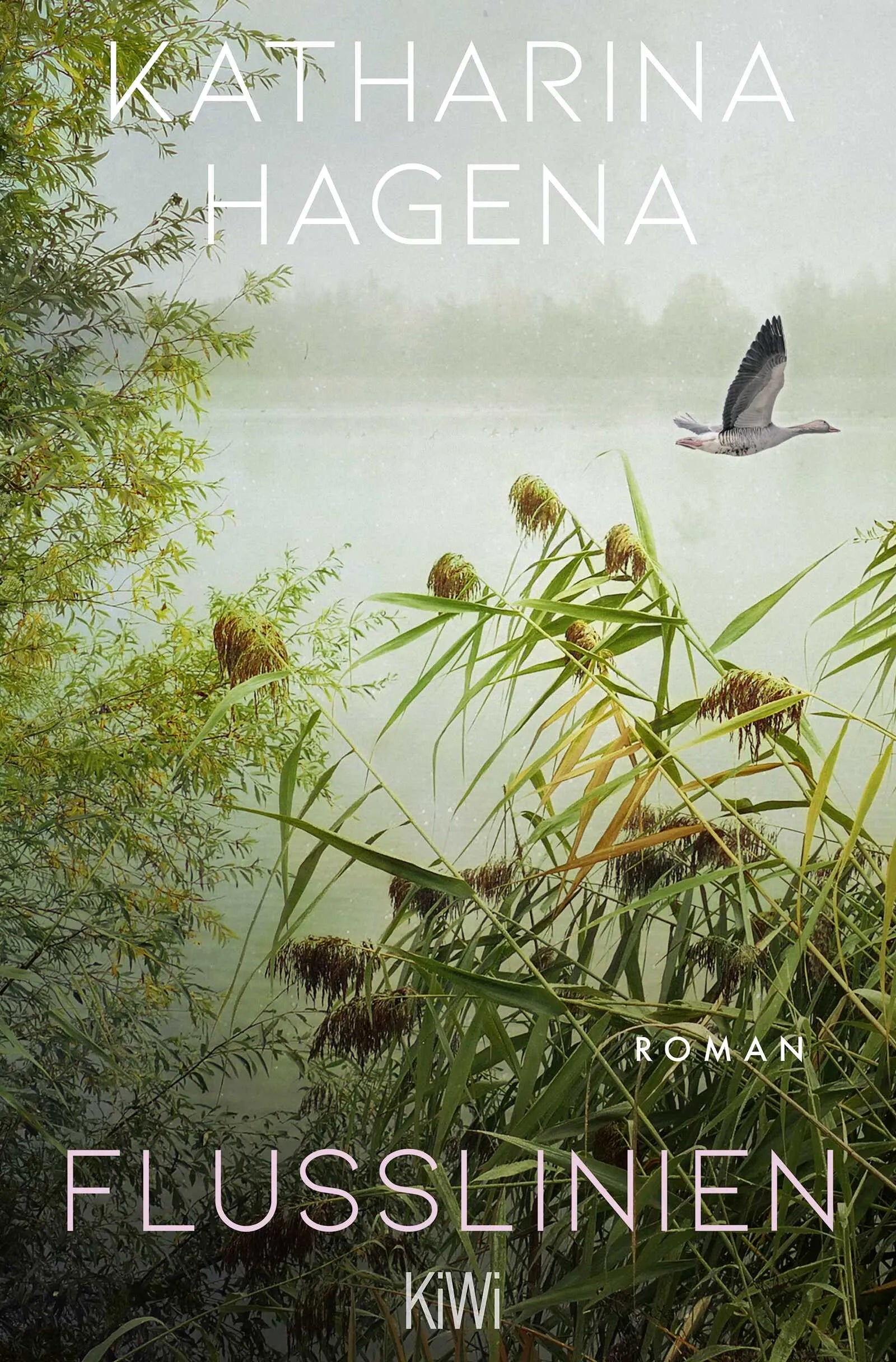 Cover: Flusslinien (Taschenbuch) von Katharina Hagena