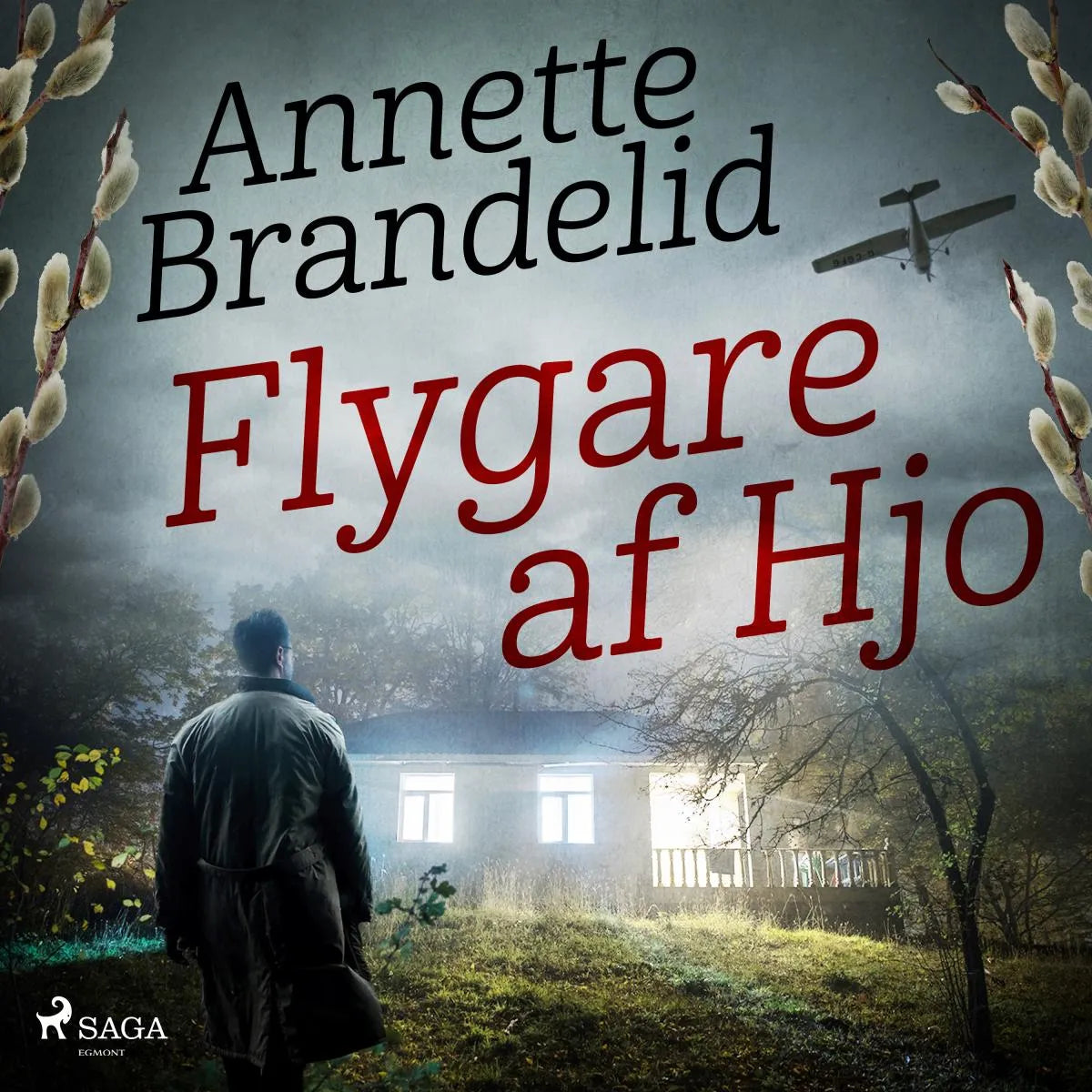 Cover: Flygare af Hjo (Hörbuch Download) von Annette Brandelid
