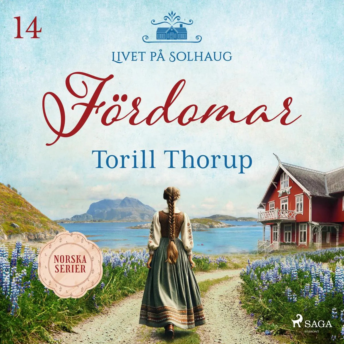 Cover: Fördomar (Hörbuch Download) von Torill Thorup