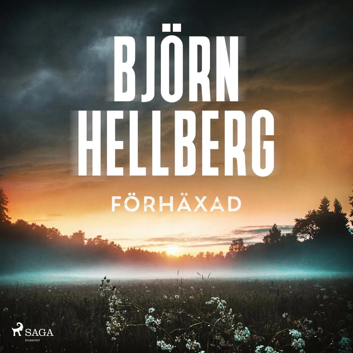 Cover: Förhäxad (Hörbuch Download) von Björn Hellberg