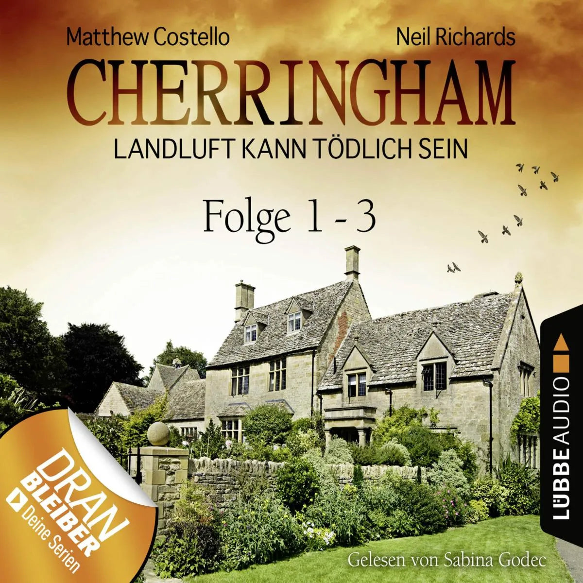 Cover: Folge 1-3 (Hörbuch Download) von Matthew Costello