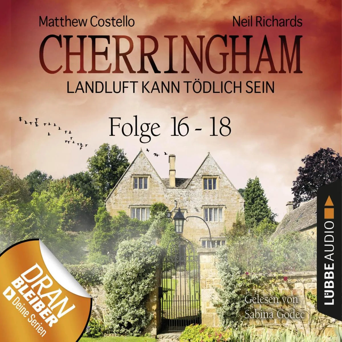 Cover: Folge 16-18 (Hörbuch Download) von Neil Richards