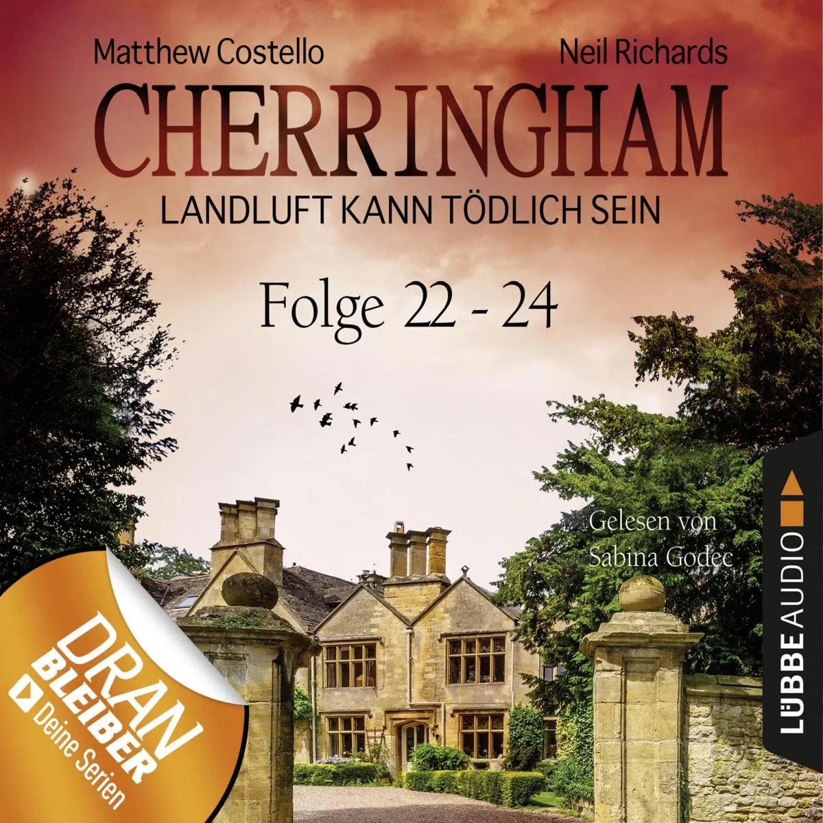 Cover: Folge 22-24 (Hörbuch Download) von Neil Richards