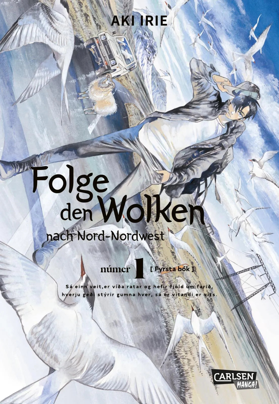 Buchcover von 'Folge den Wolken nach Nord-Nordwest 1' - Taschenbuch von Aki Irie