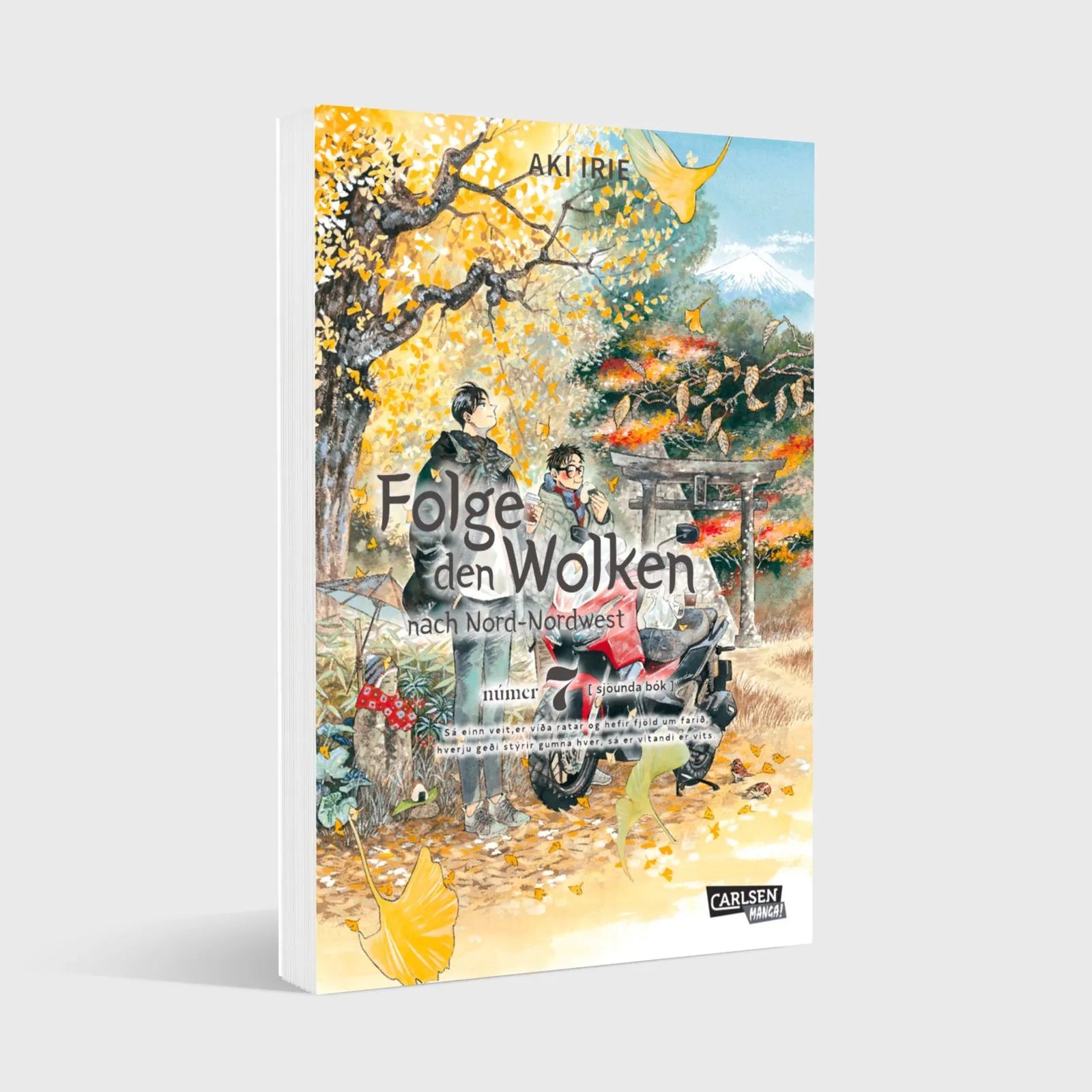 Detailansicht: Folge den Wolken nach Nord-Nordwest 7 (Taschenbuch)