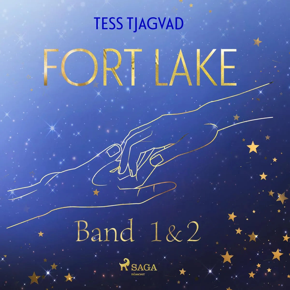 Cover: Fort Lake (Hörbuch Download) von Tess Tjagvad