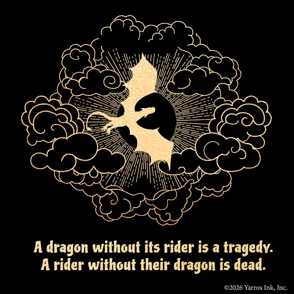Fourth Wing Puzzle - Dragons – Ansicht