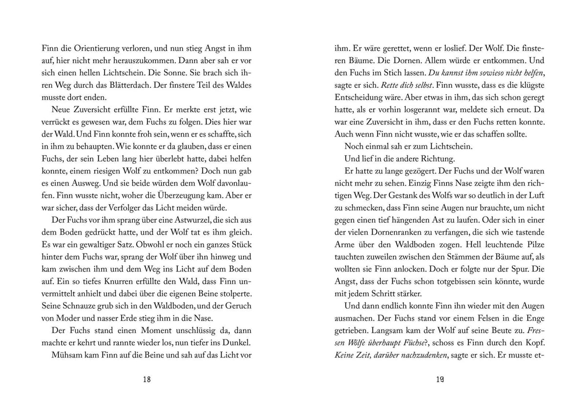 Detailansicht: Foxfighter 1: Angriff des Schattens (Taschenbuch)