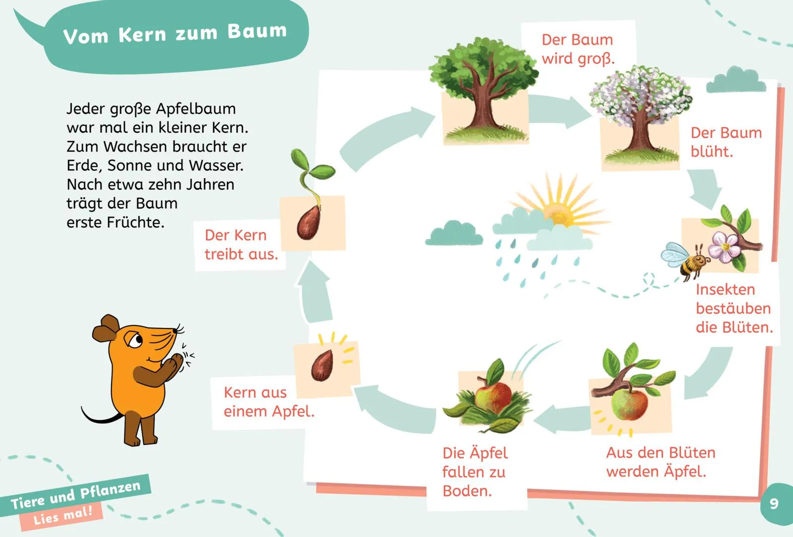 Produktansicht: Frag doch mal ... die Maus: Wissen zum Schulstart: Natur und Umwelt (Gebundene Ausgabe)