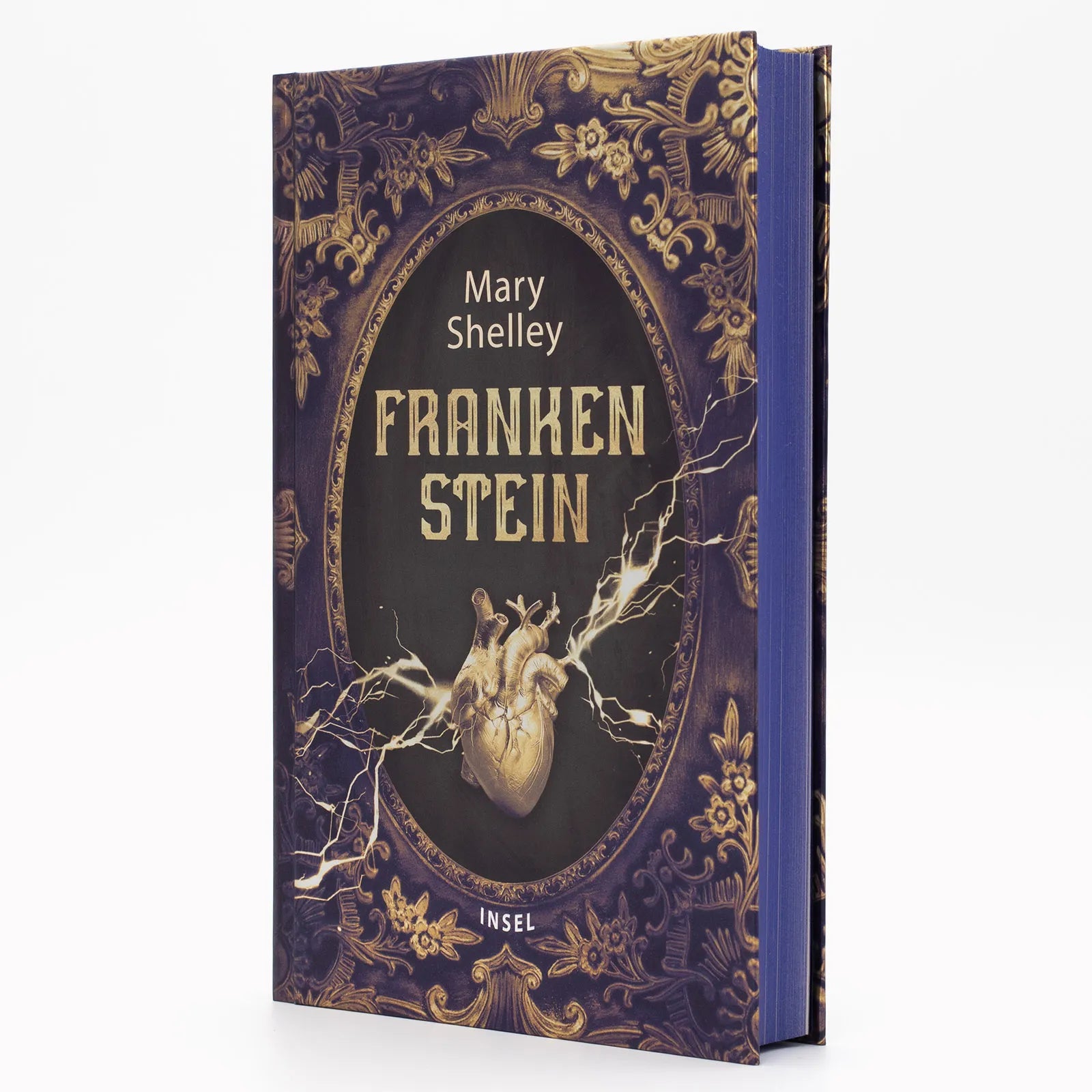 Detailansicht: Frankenstein oder Der moderne Prometheus (Hardcover)