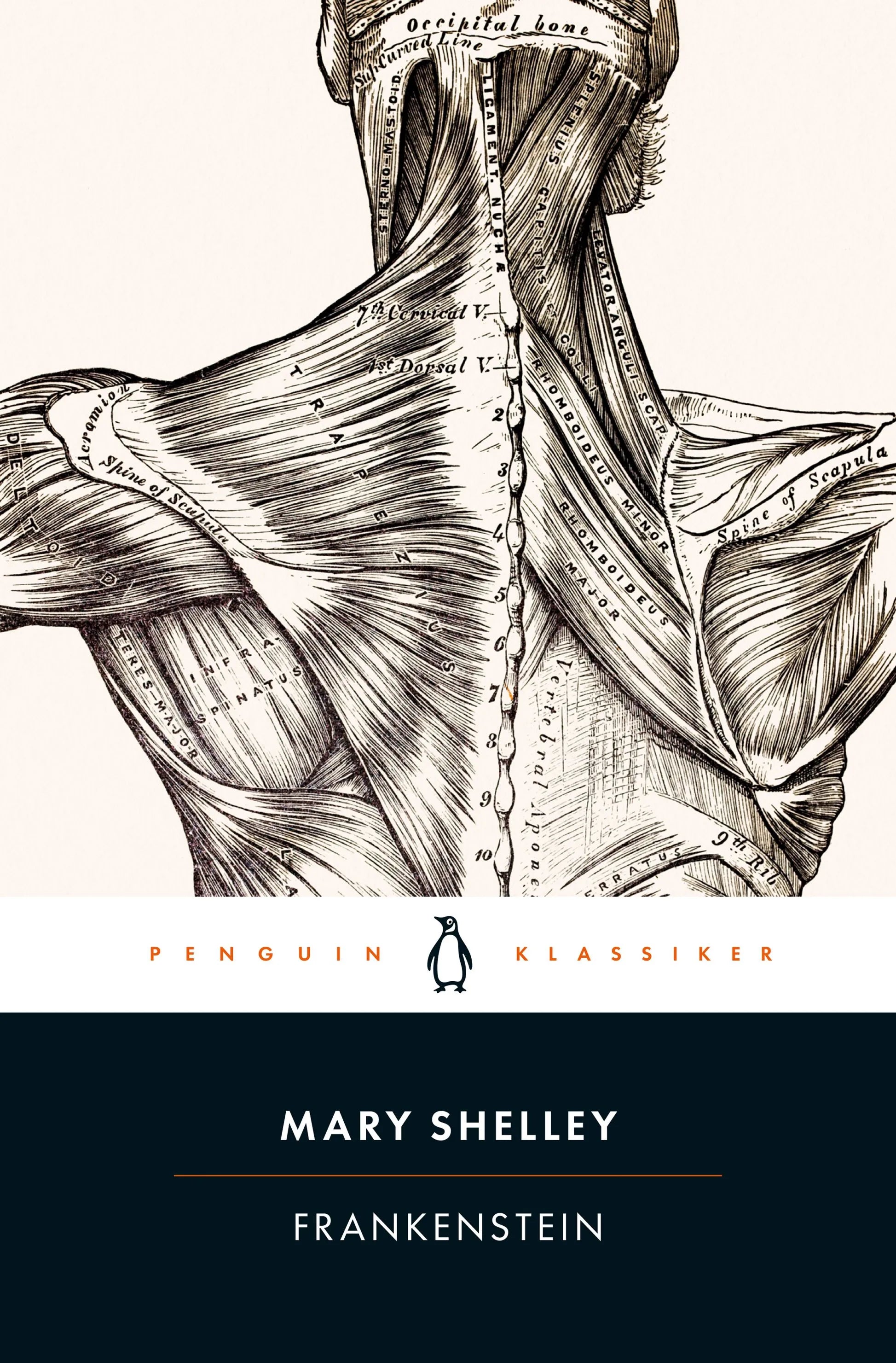 Cover: Frankenstein oder Der moderne Prometheus (Taschenbuch) von Mary Shelley