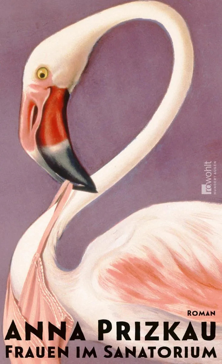 Cover: Frauen im Sanatorium (E-Book) von Anna Prizkau