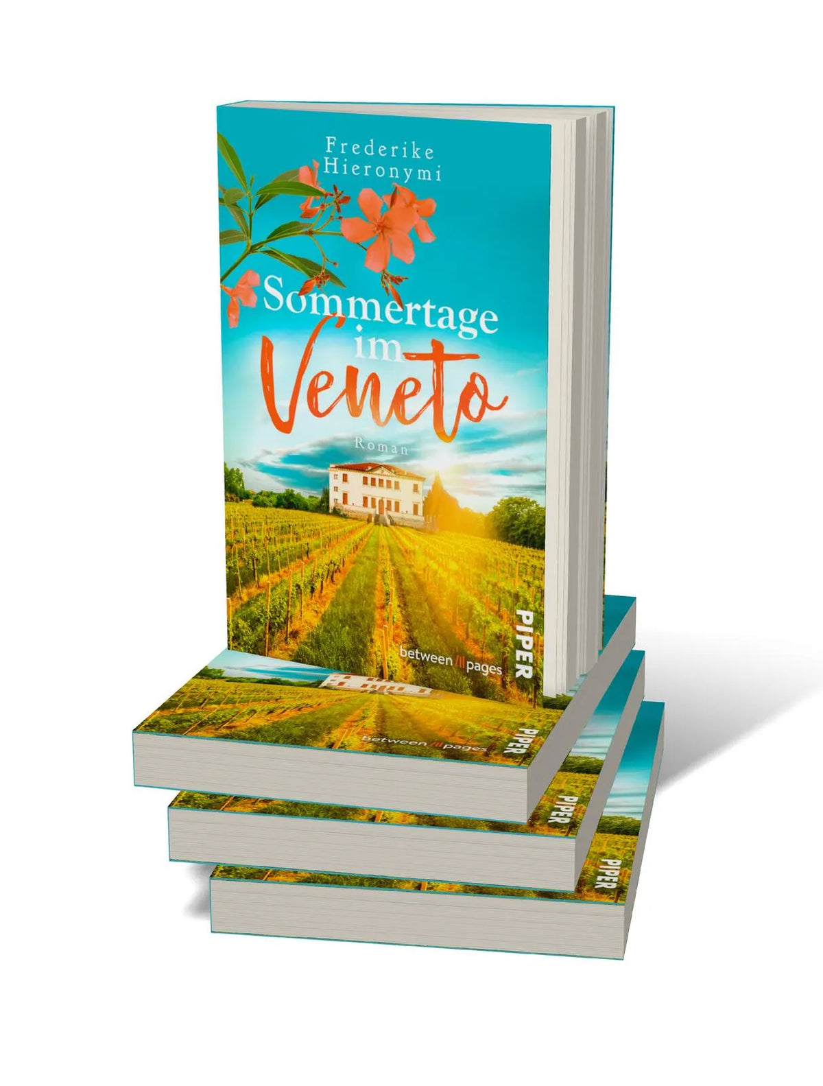Produktansicht: Sommertage im Veneto (Taschenbuch)